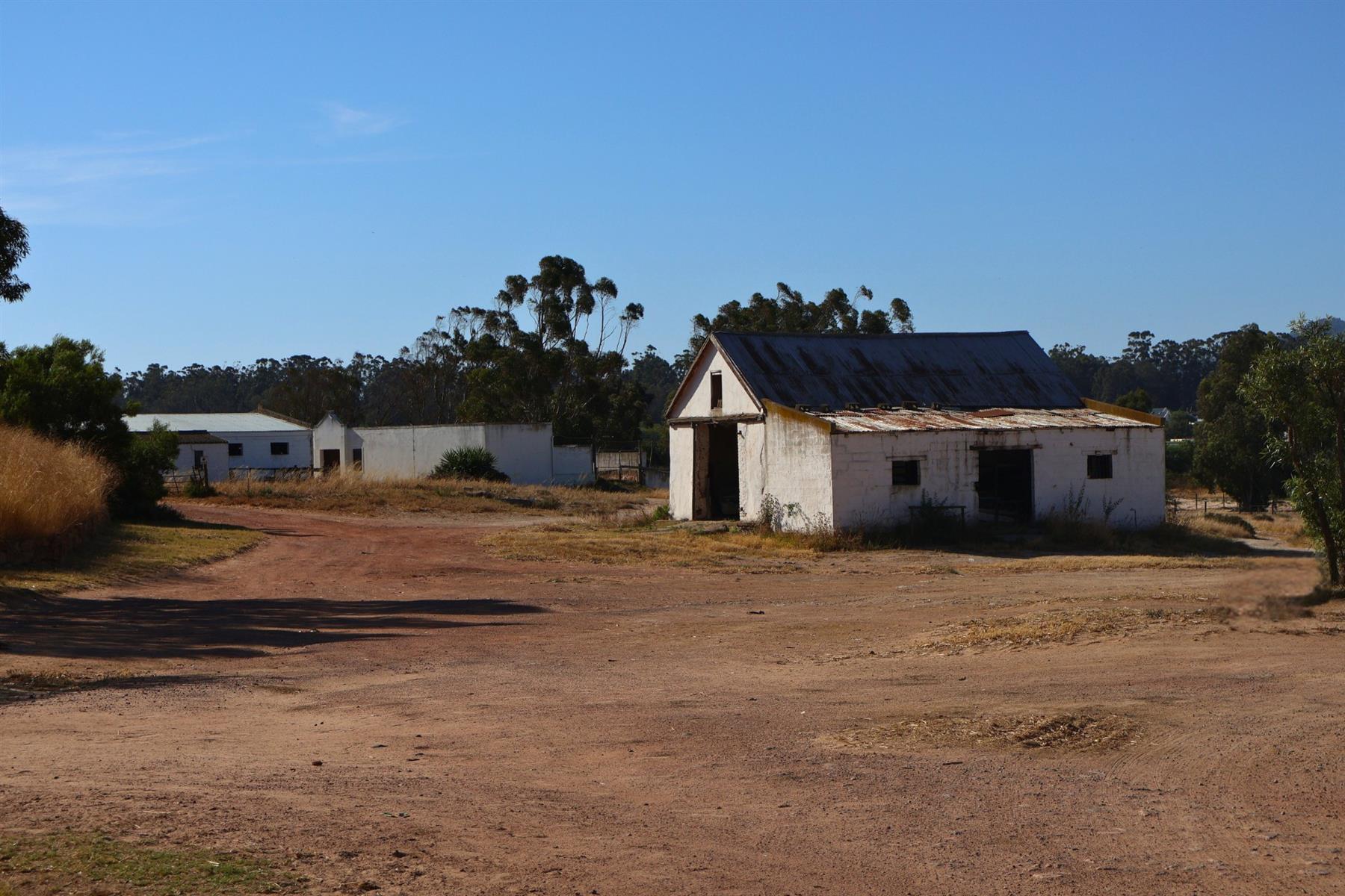 Image 19
