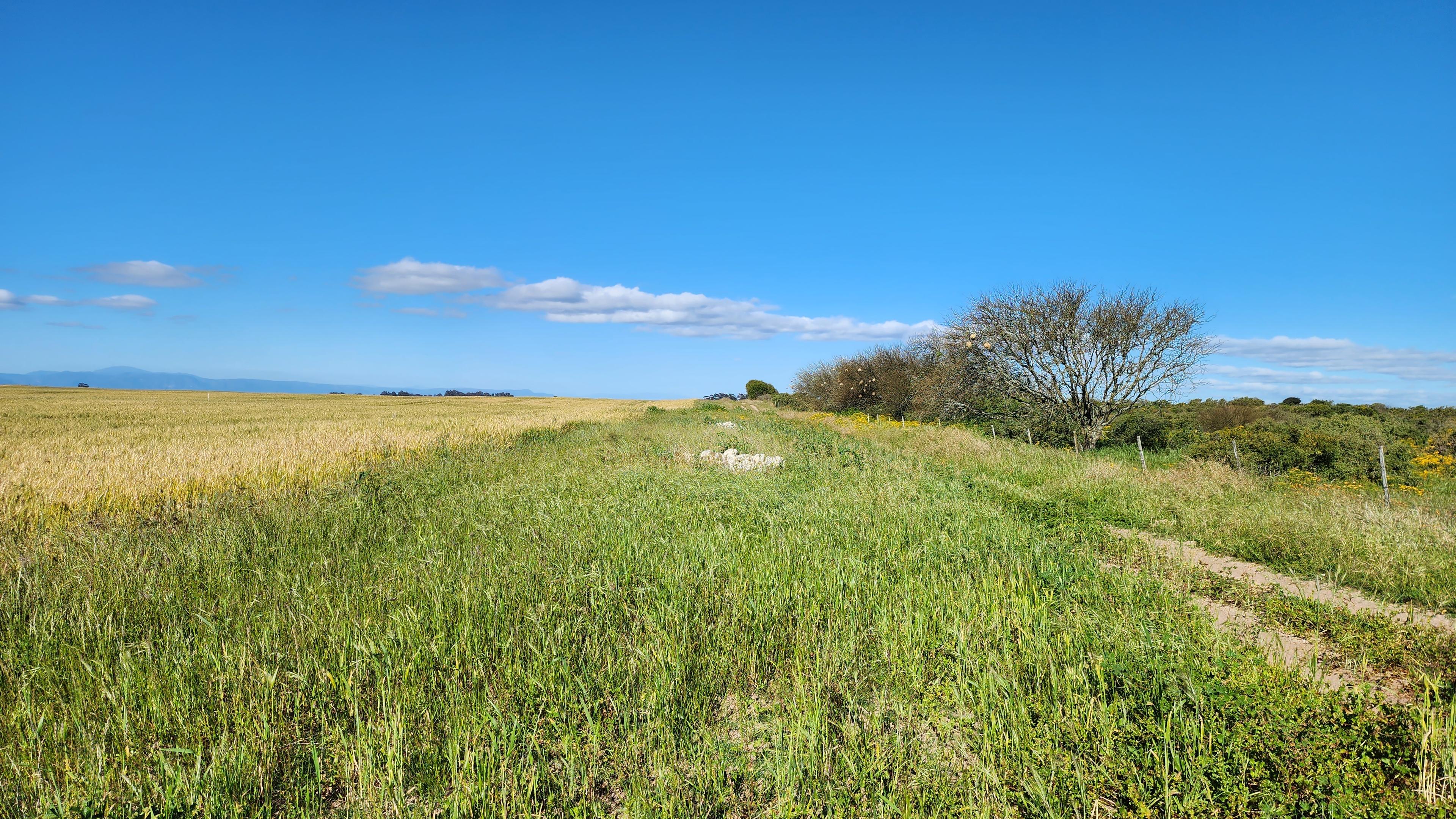 Image 5 of 6