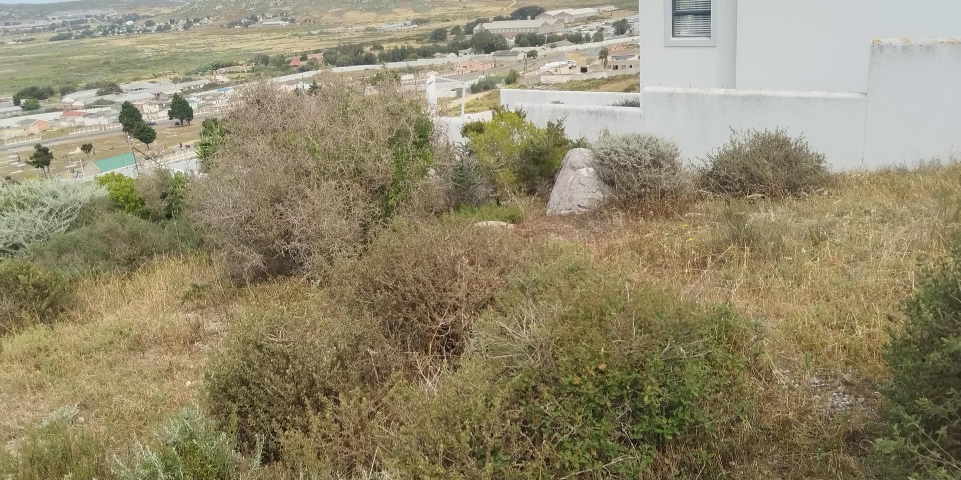 Image 3 of 6