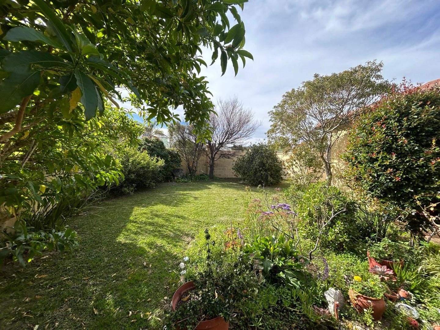 Image 15
