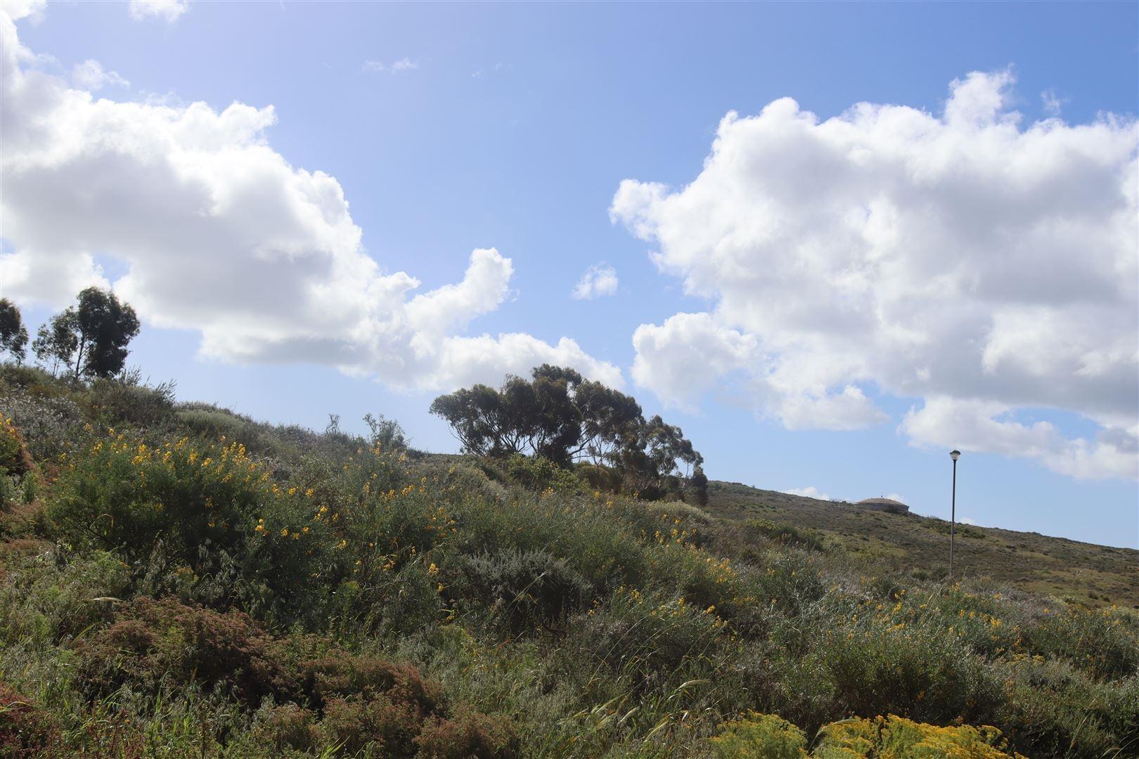 Image 14
