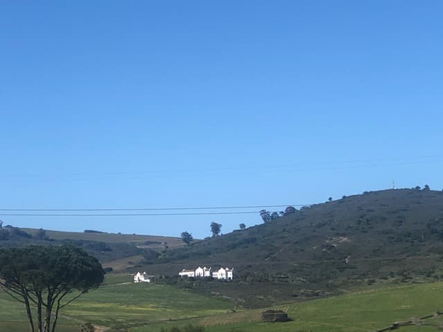 Image 4 of 6