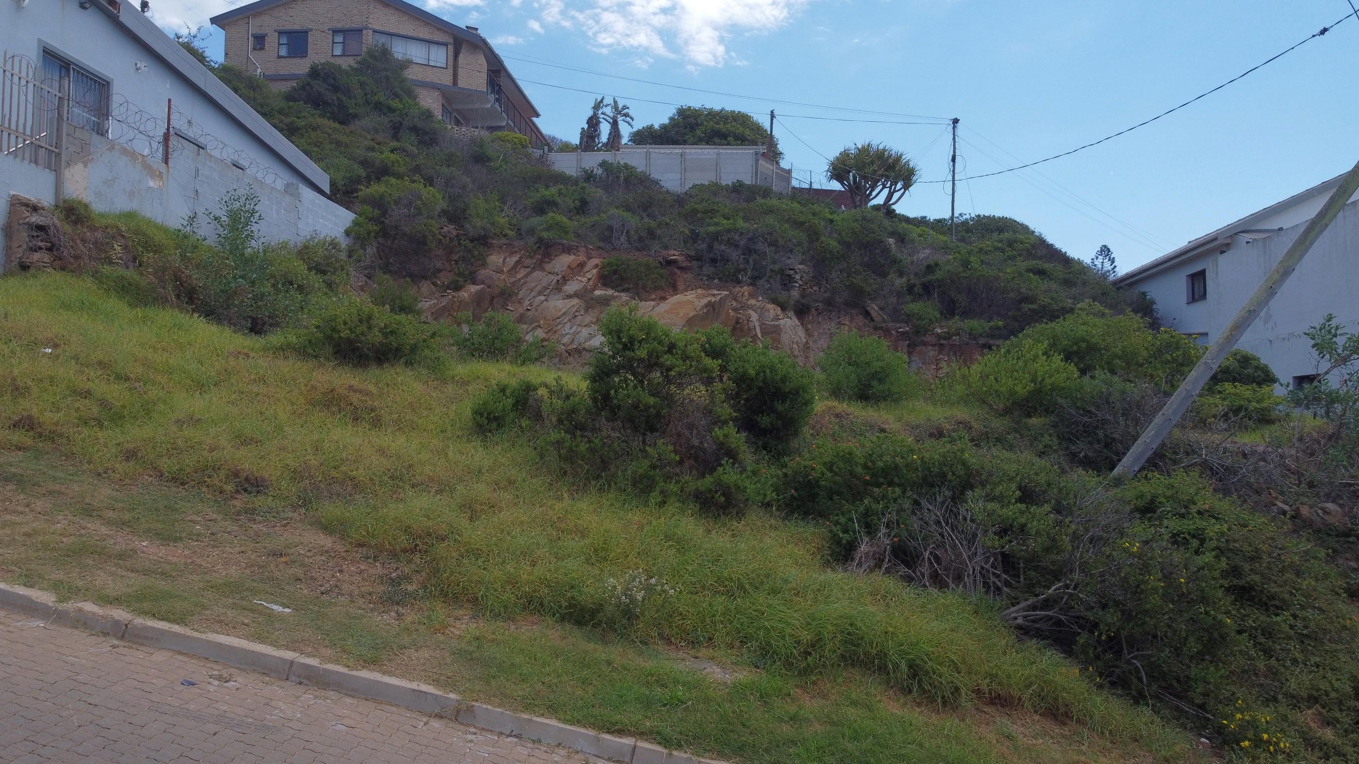 Image 15