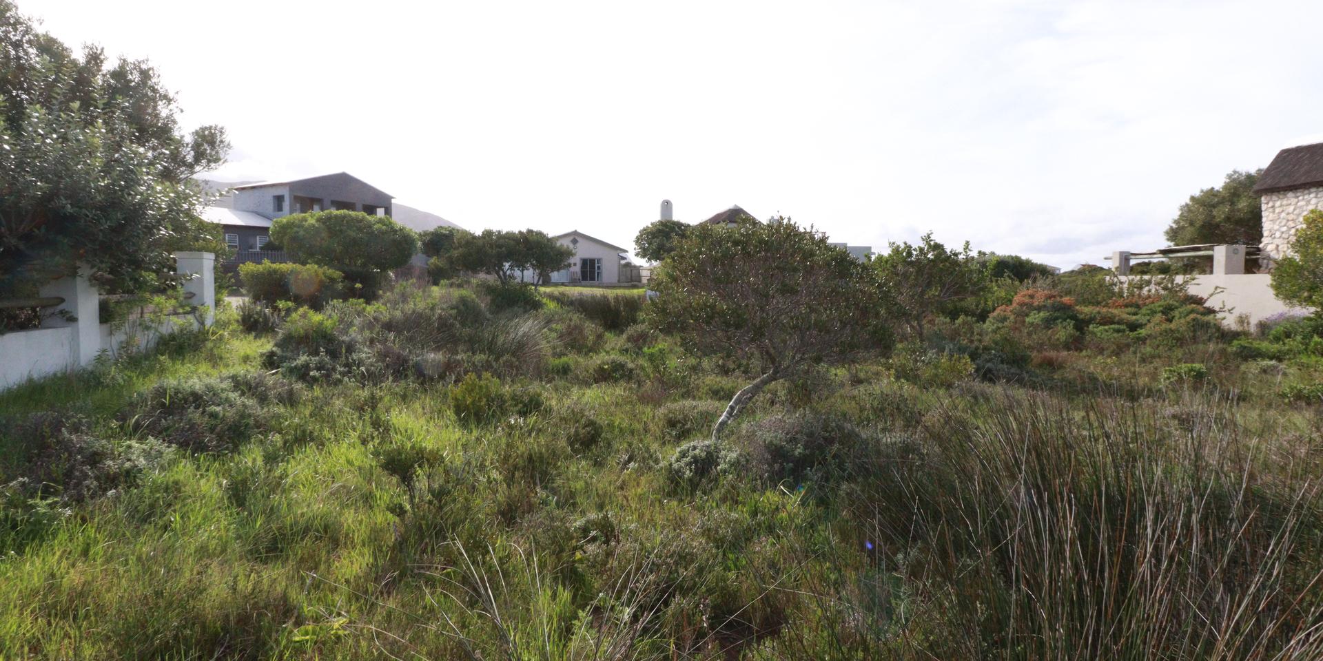 Image 5 of 6