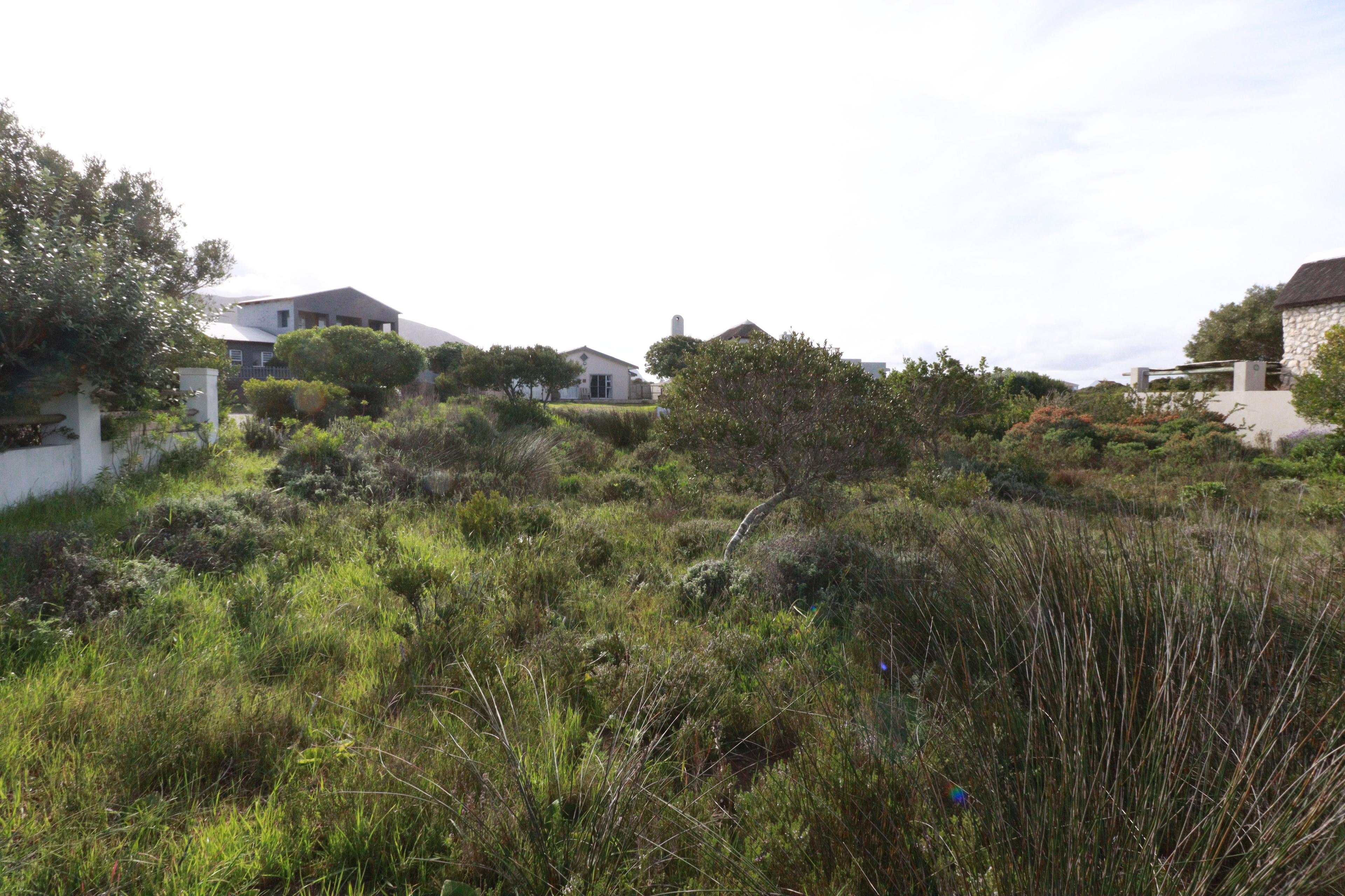 Image 5 of 6