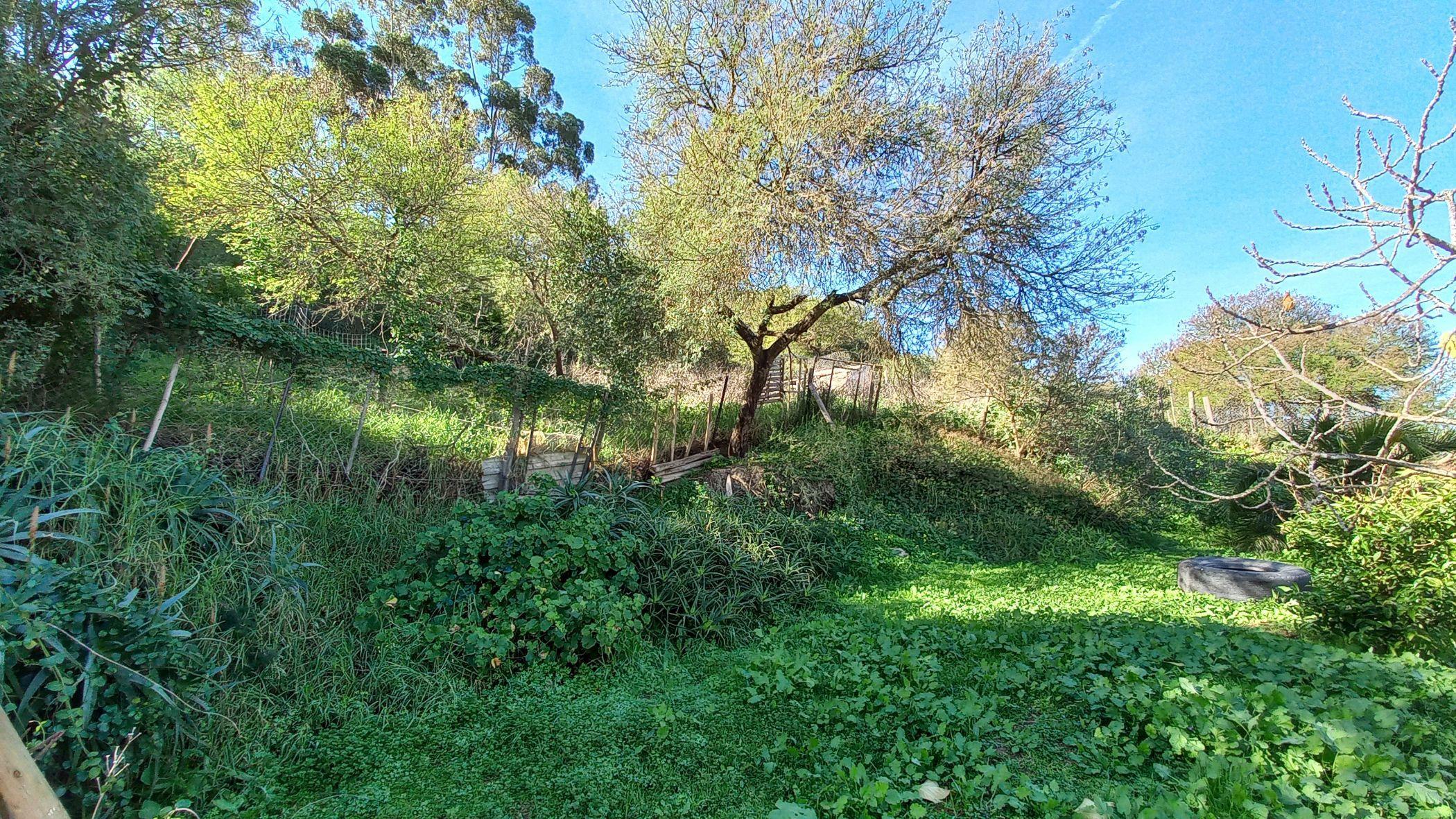 Image 56