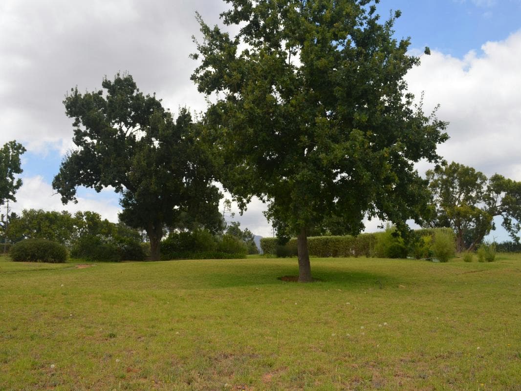 Image 14