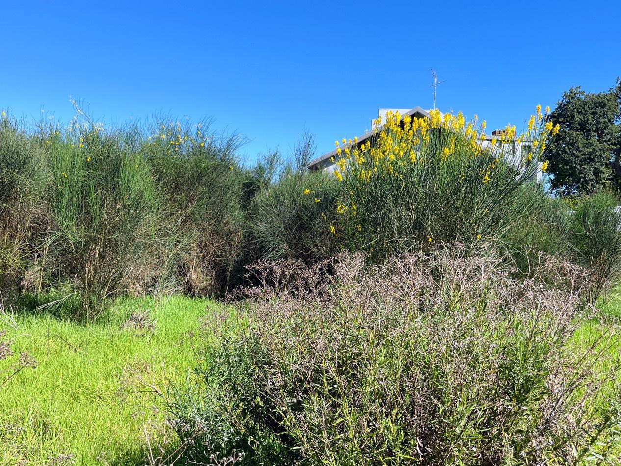 Image 4 of 6