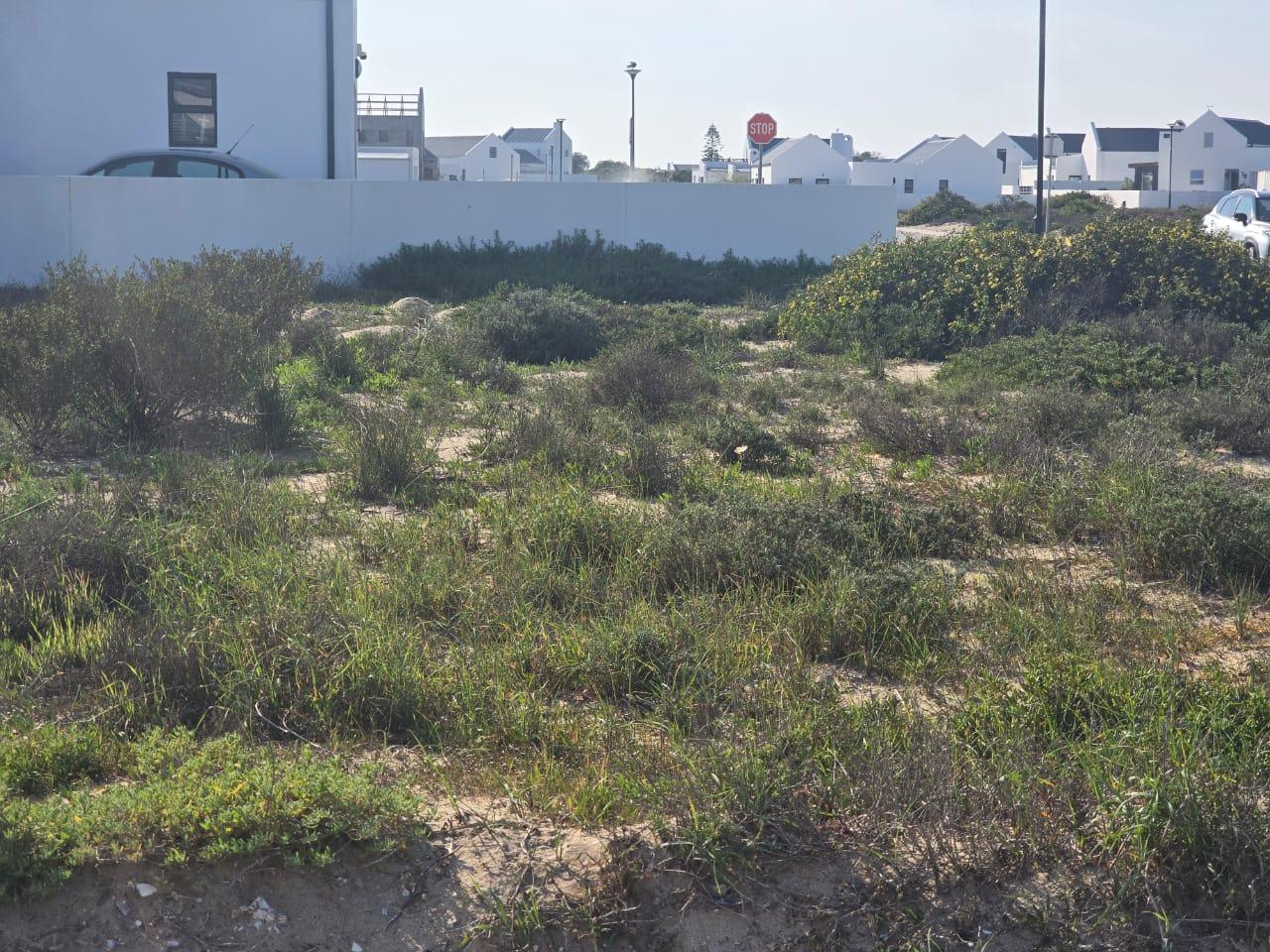 Image 14