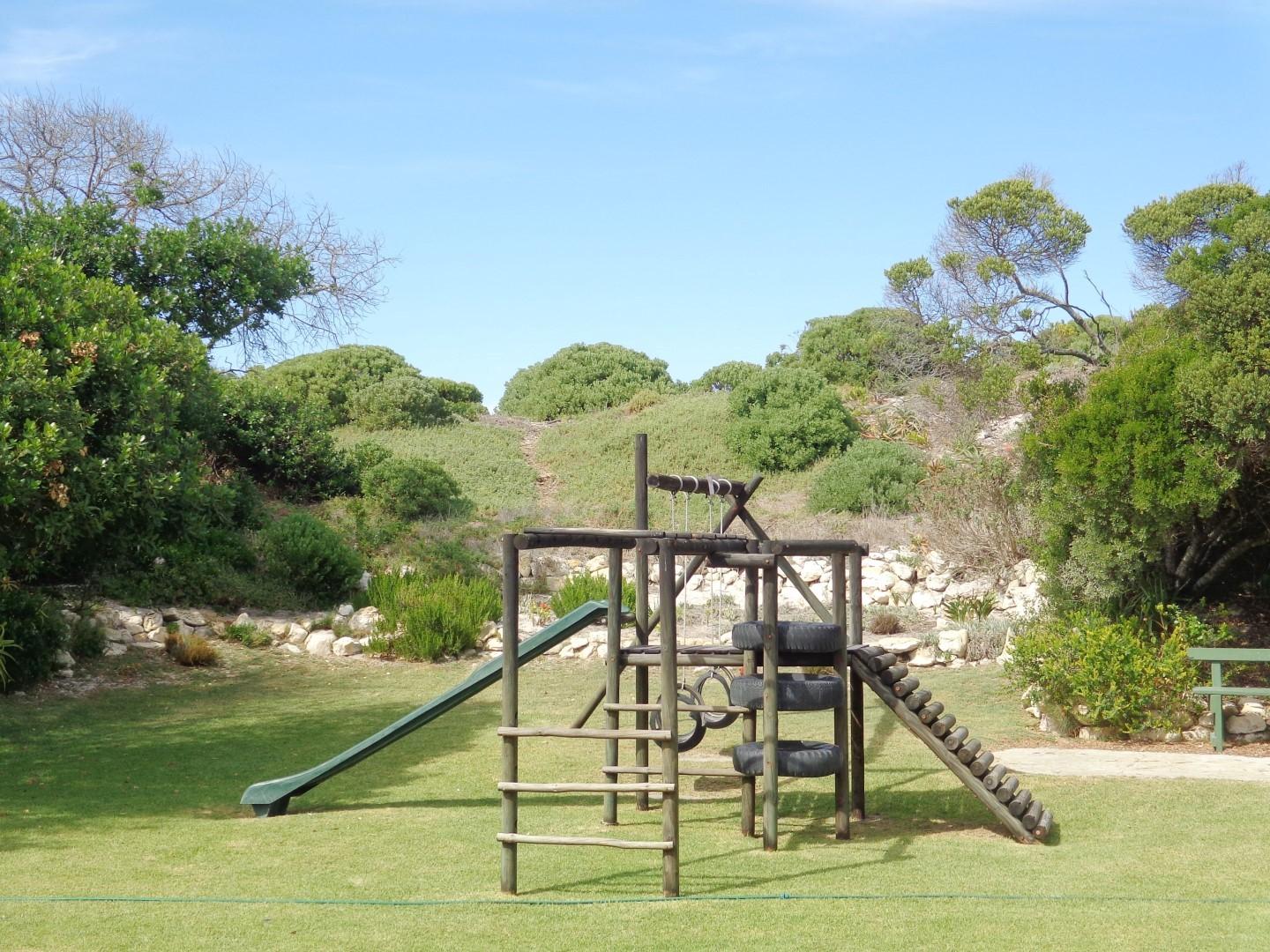 Image 19