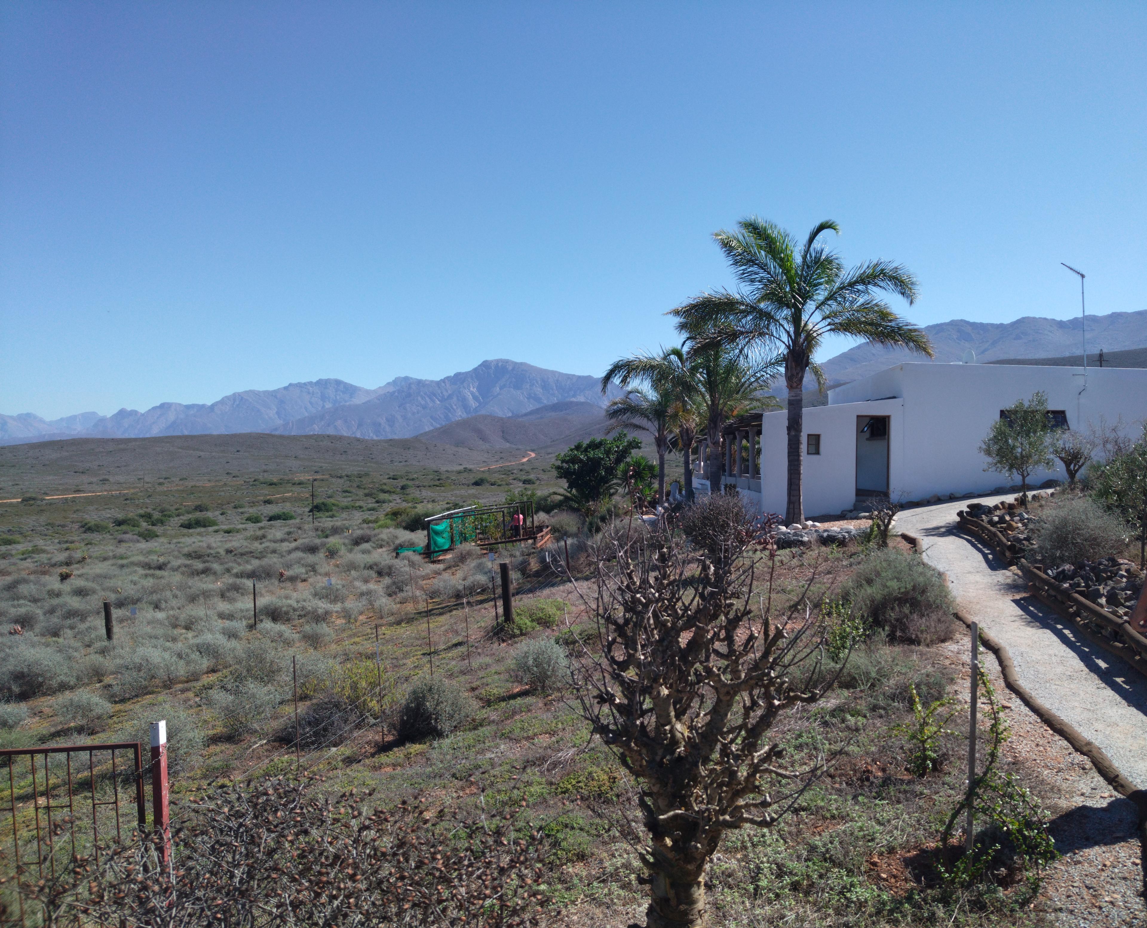Image 2 of 6