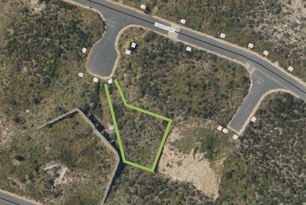 Image 2 of 6