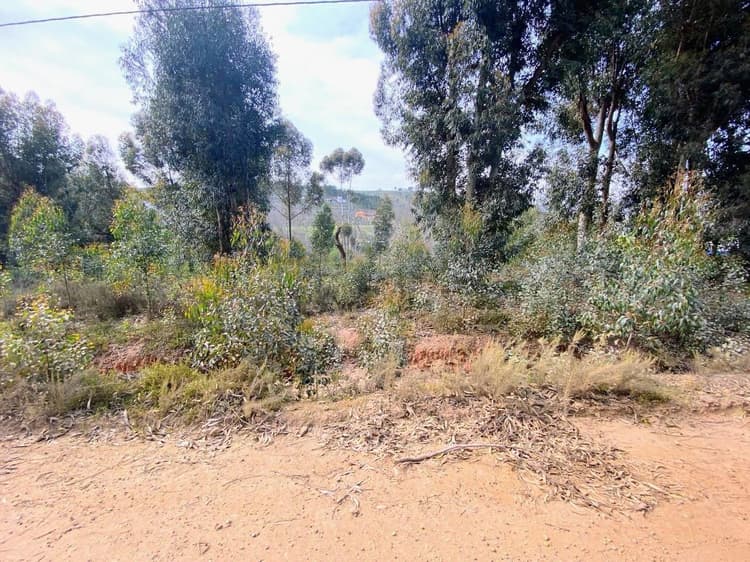Main property image
