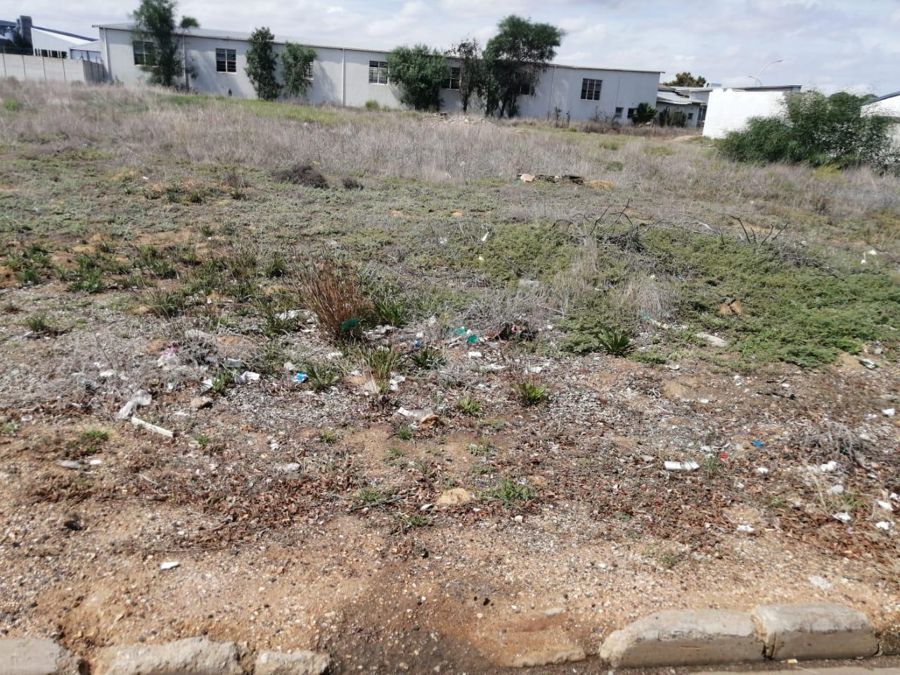 Image 6