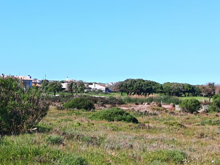 Main property image
