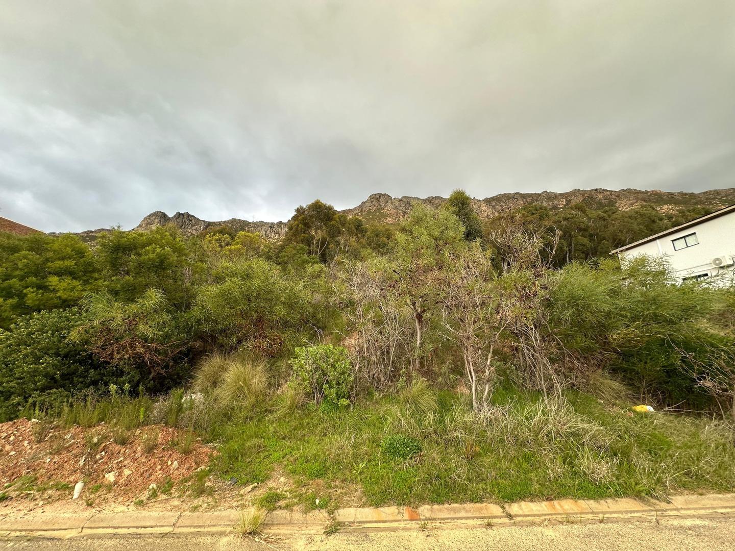 Image 9
