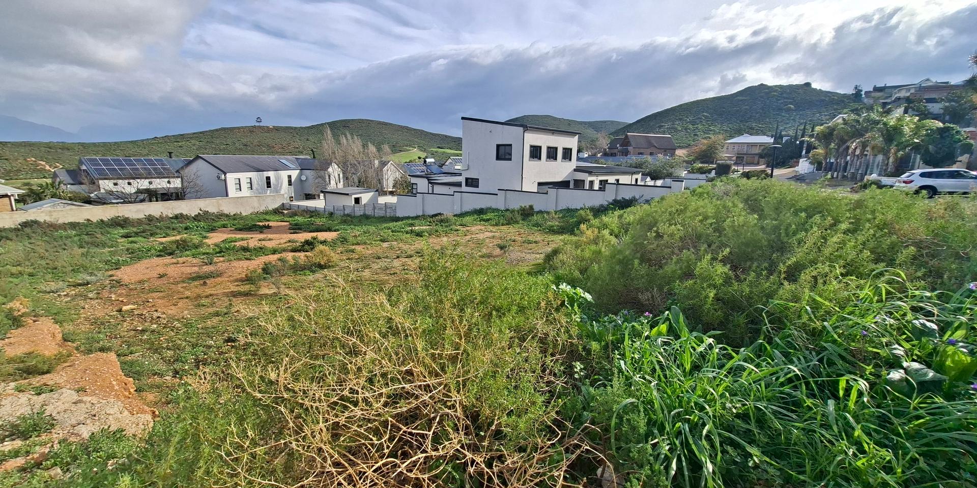 Image 3 of 6