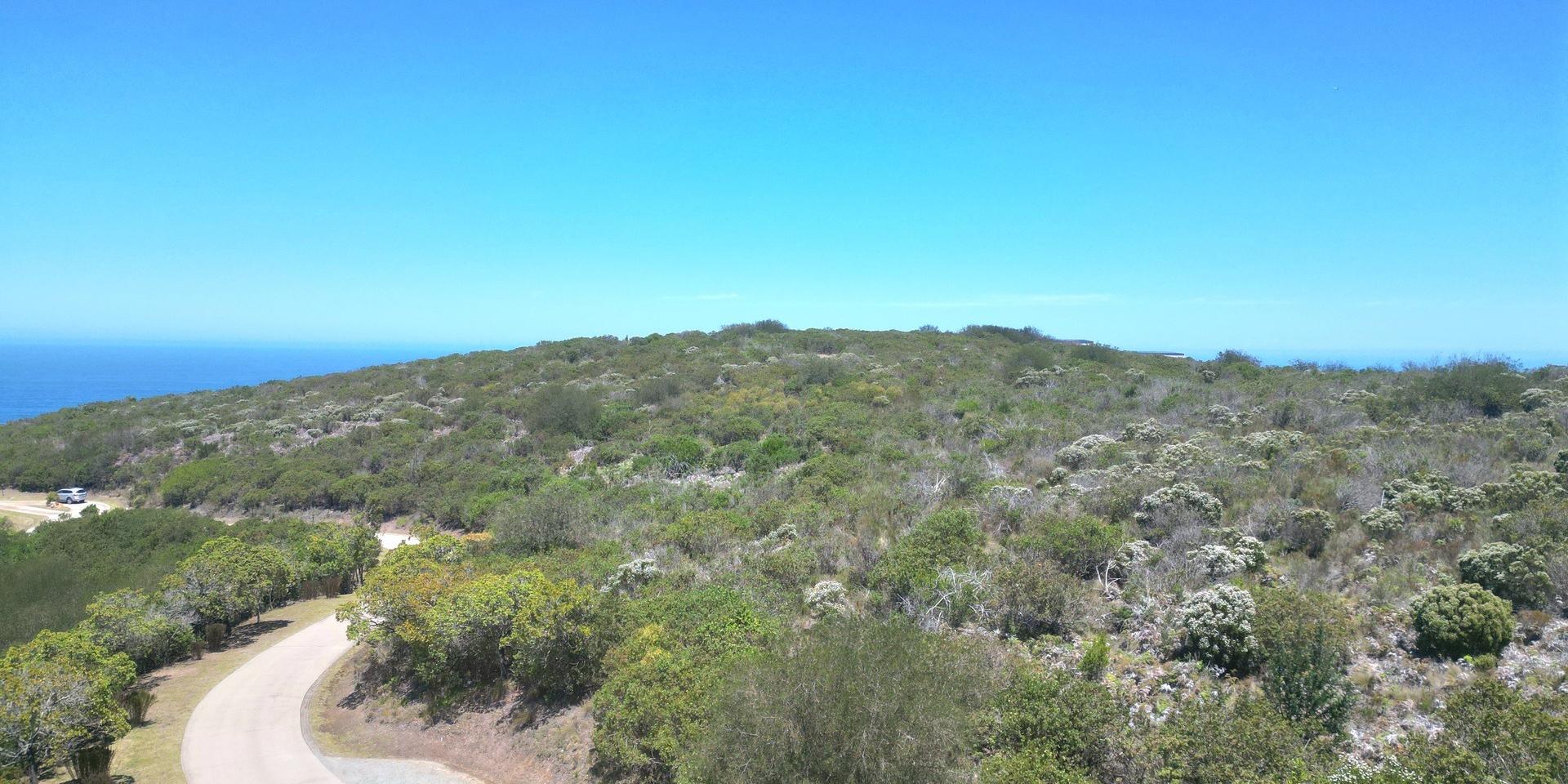 Image 5 of 6
