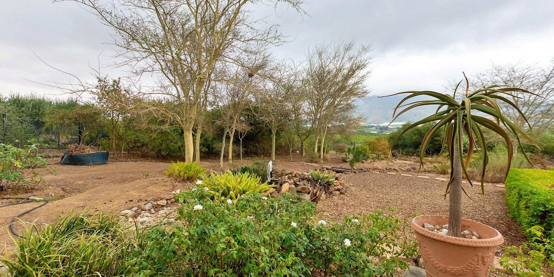 Image 5 of 6