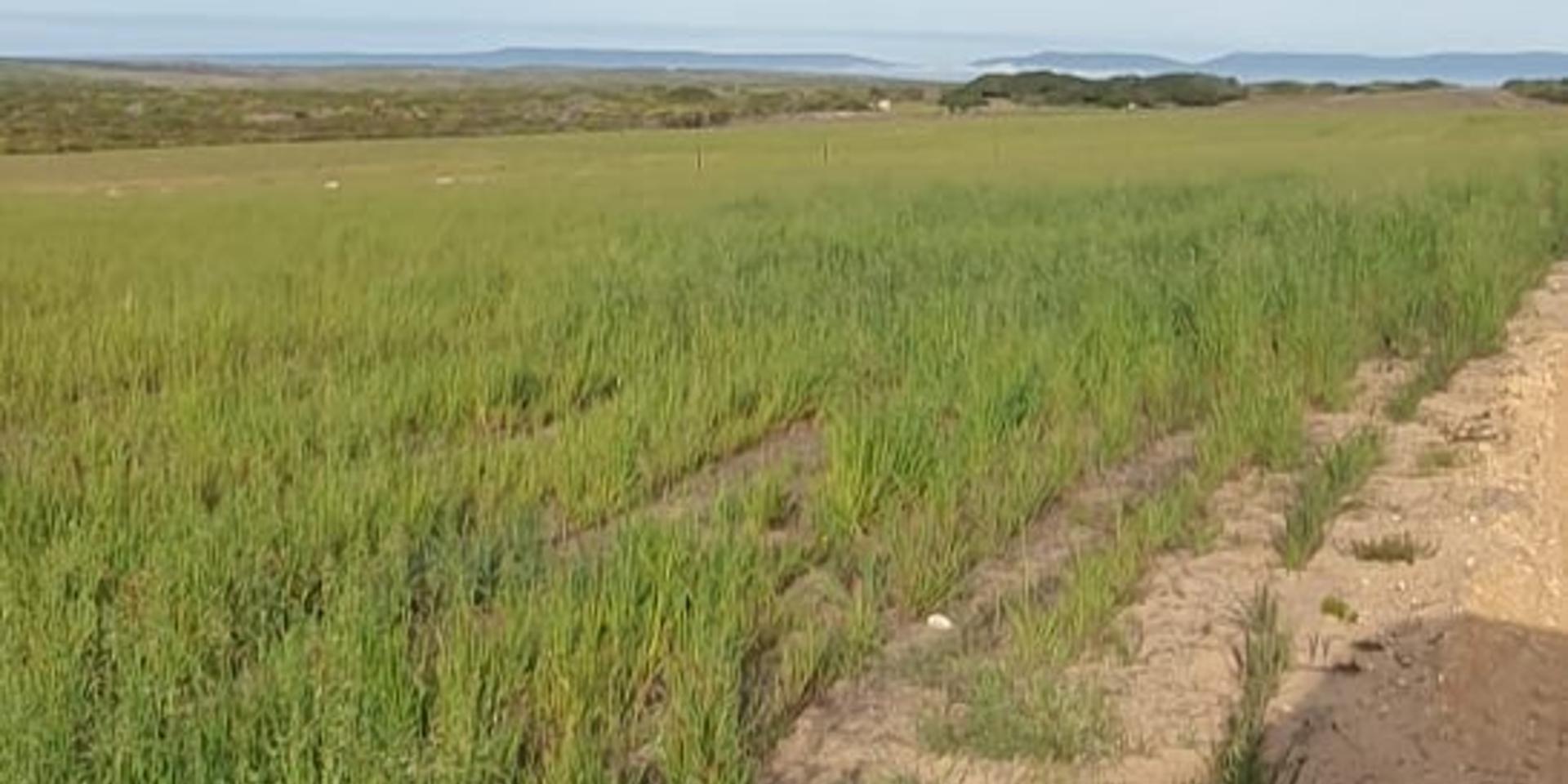 Image 4 of 6