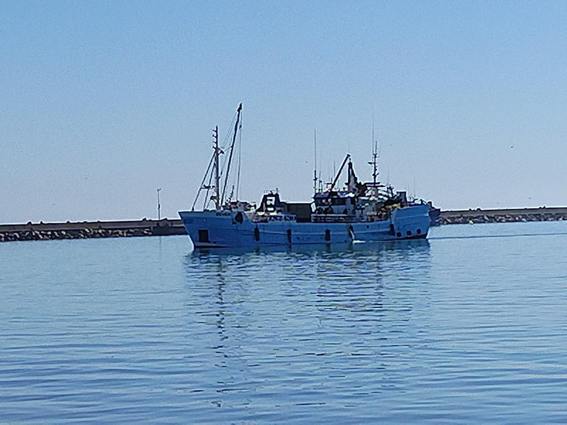 Image 15