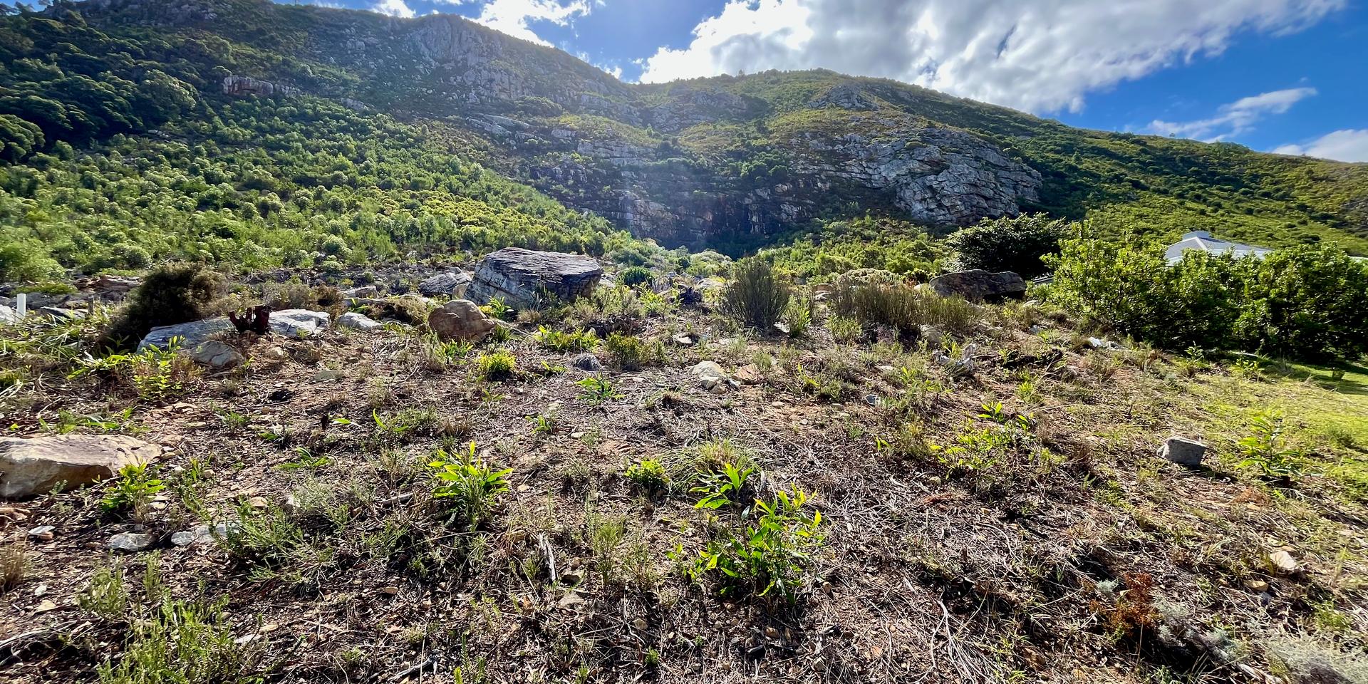 Image 5 of 6