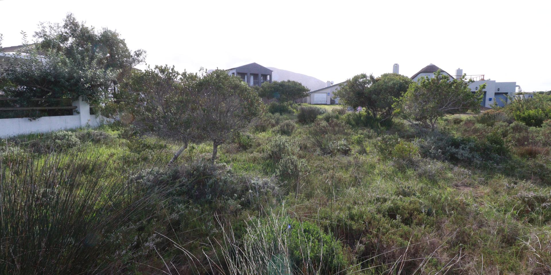 Image 4 of 6