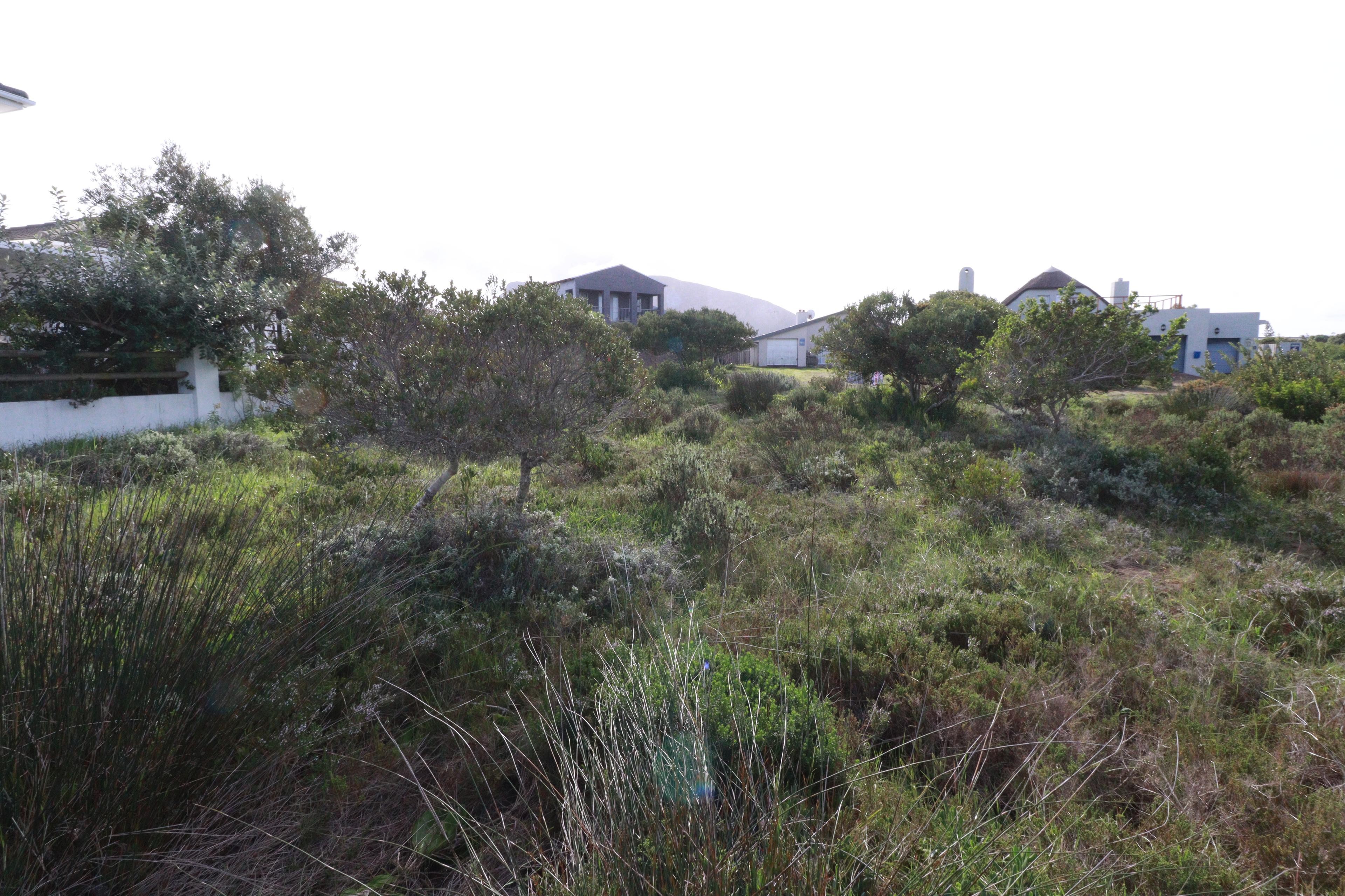 Image 4 of 6