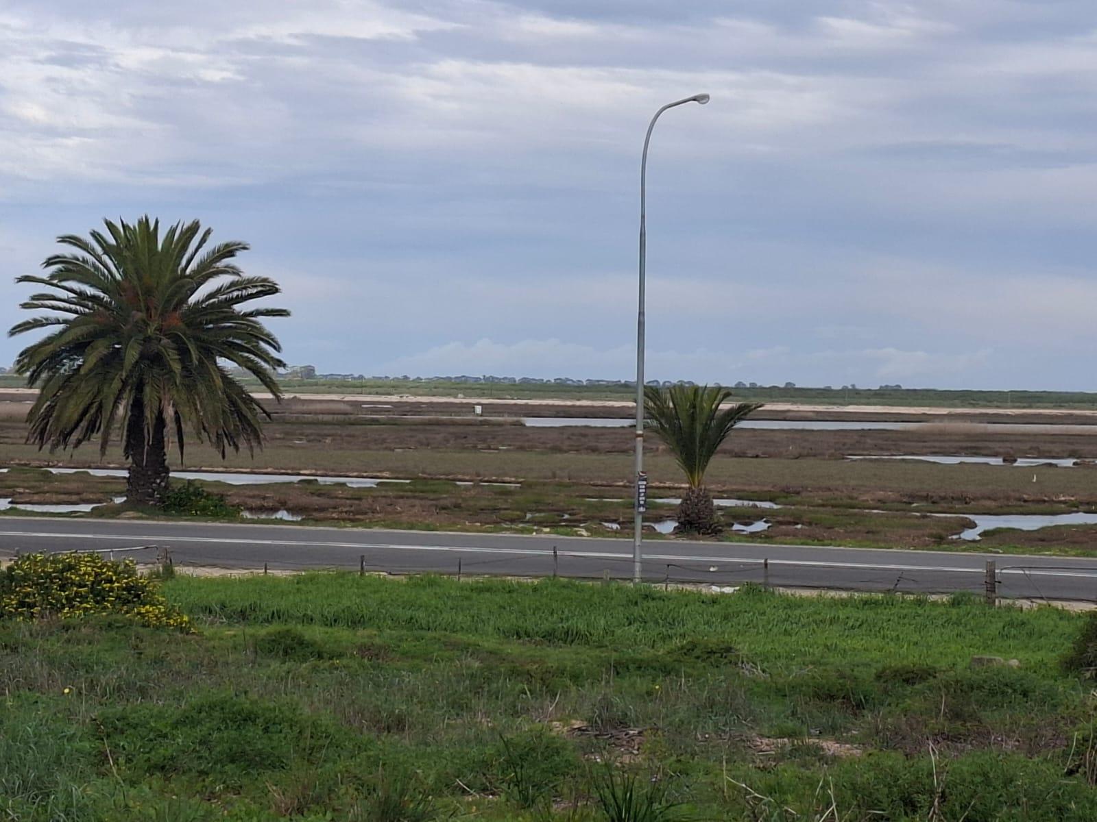 Image 5 of 6