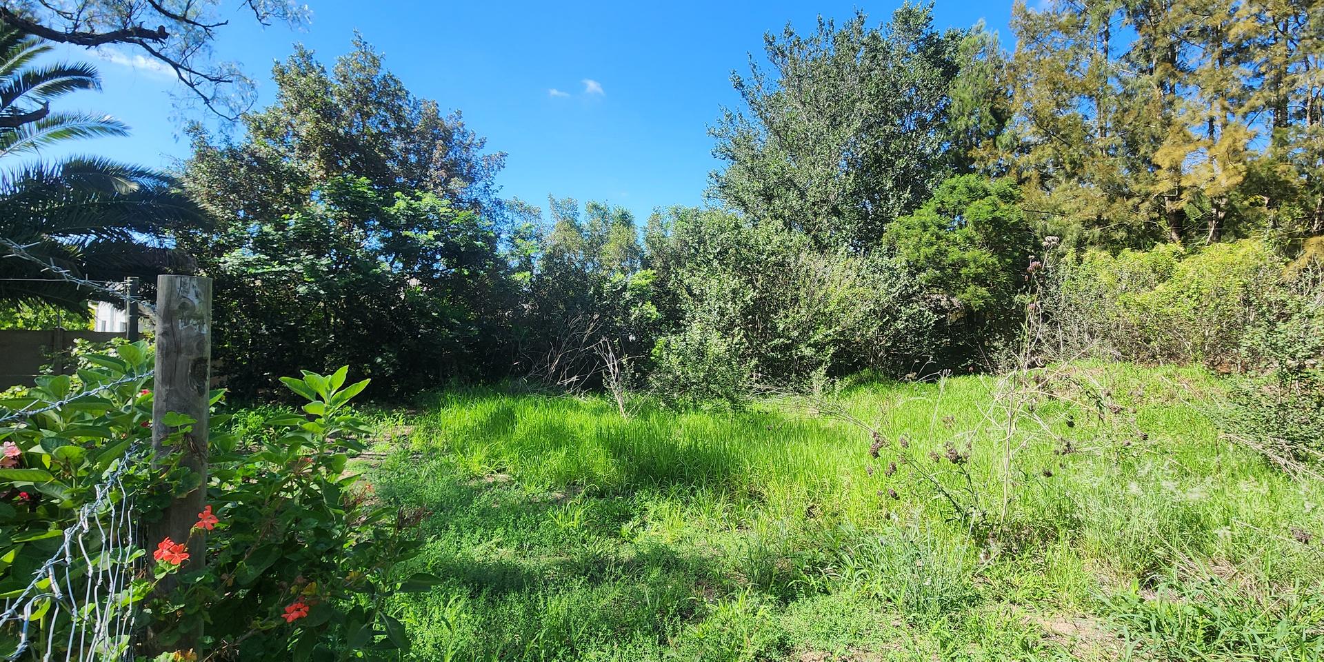 Image 4 of 6
