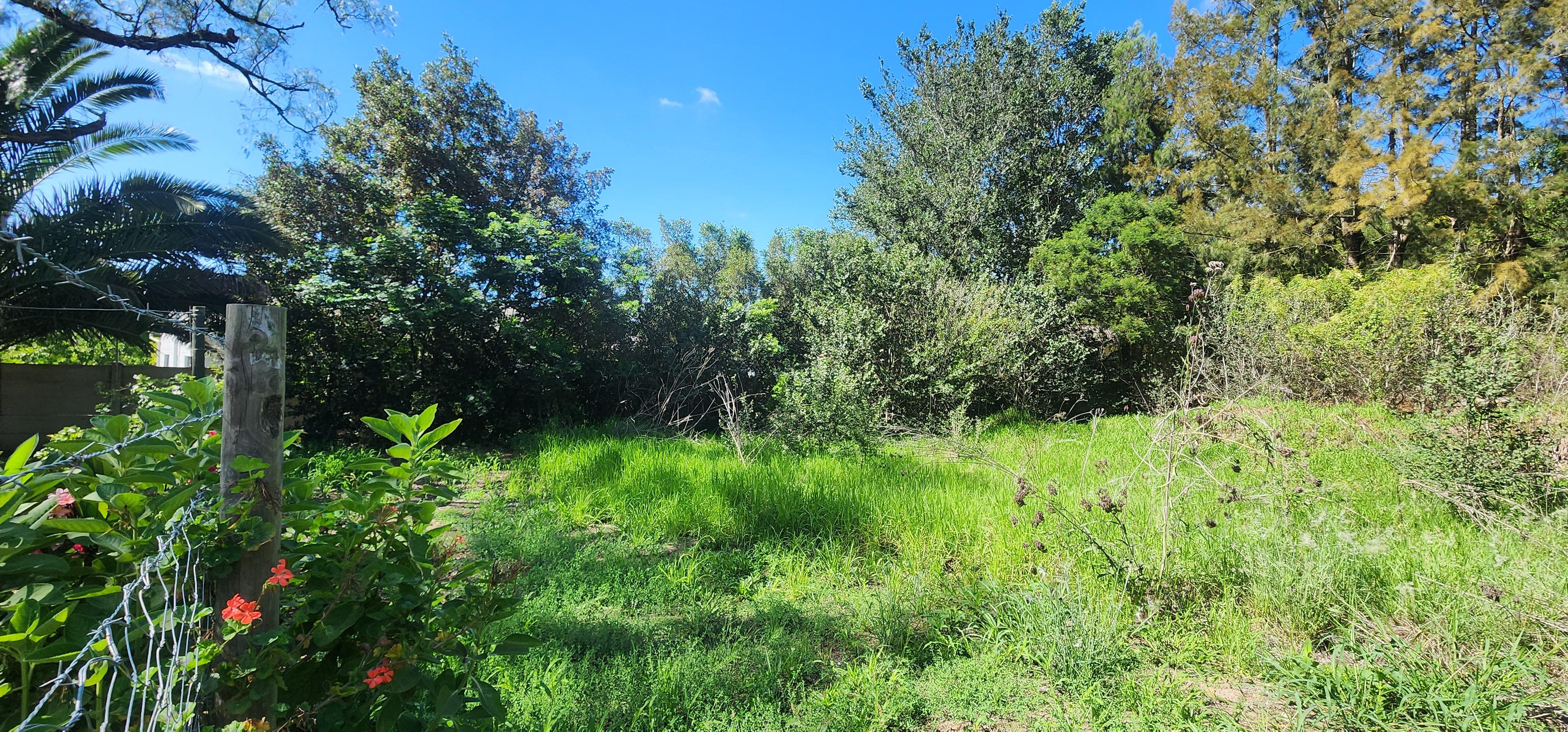 Image 4 of 6