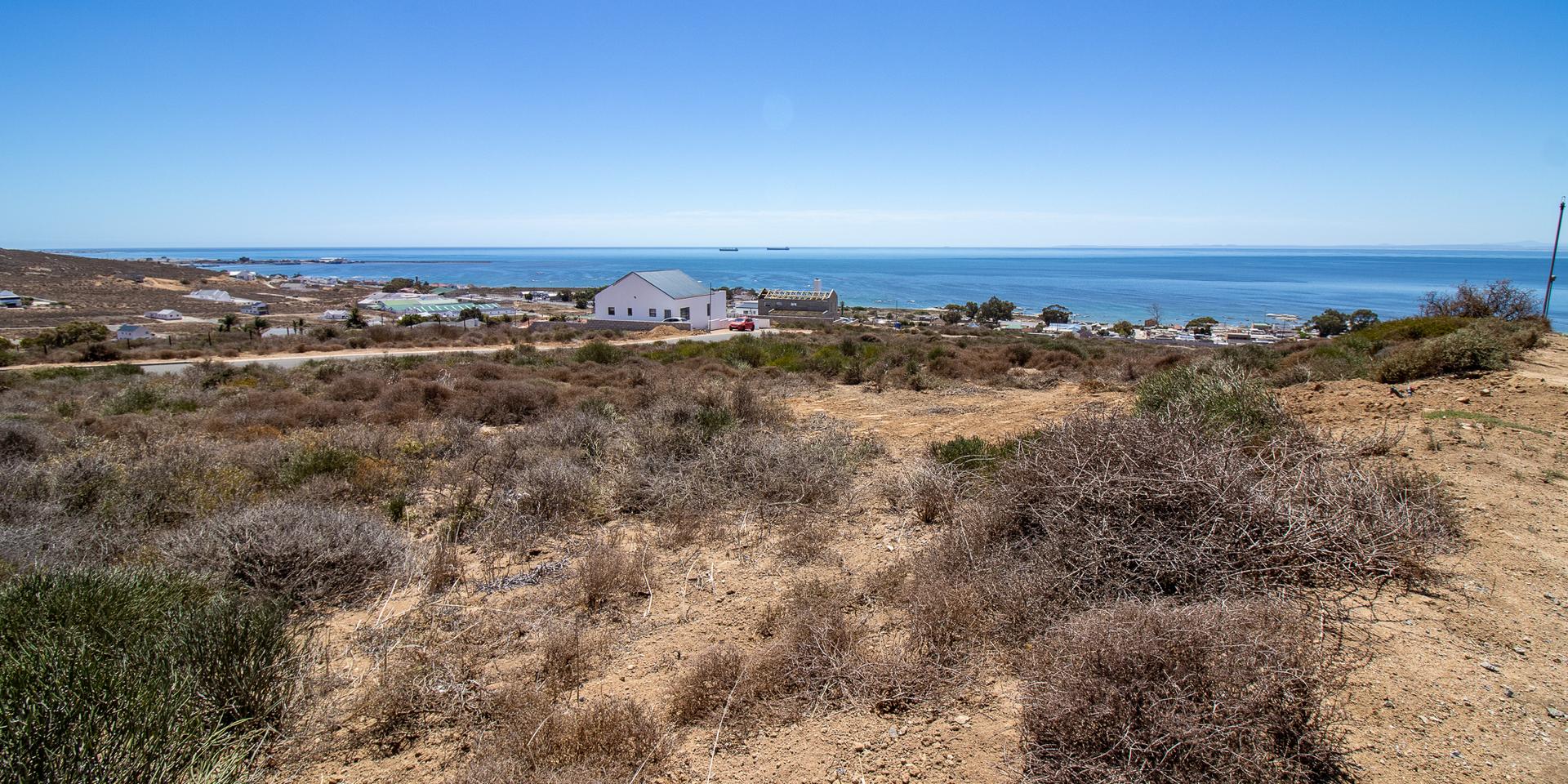 Image 4 of 6