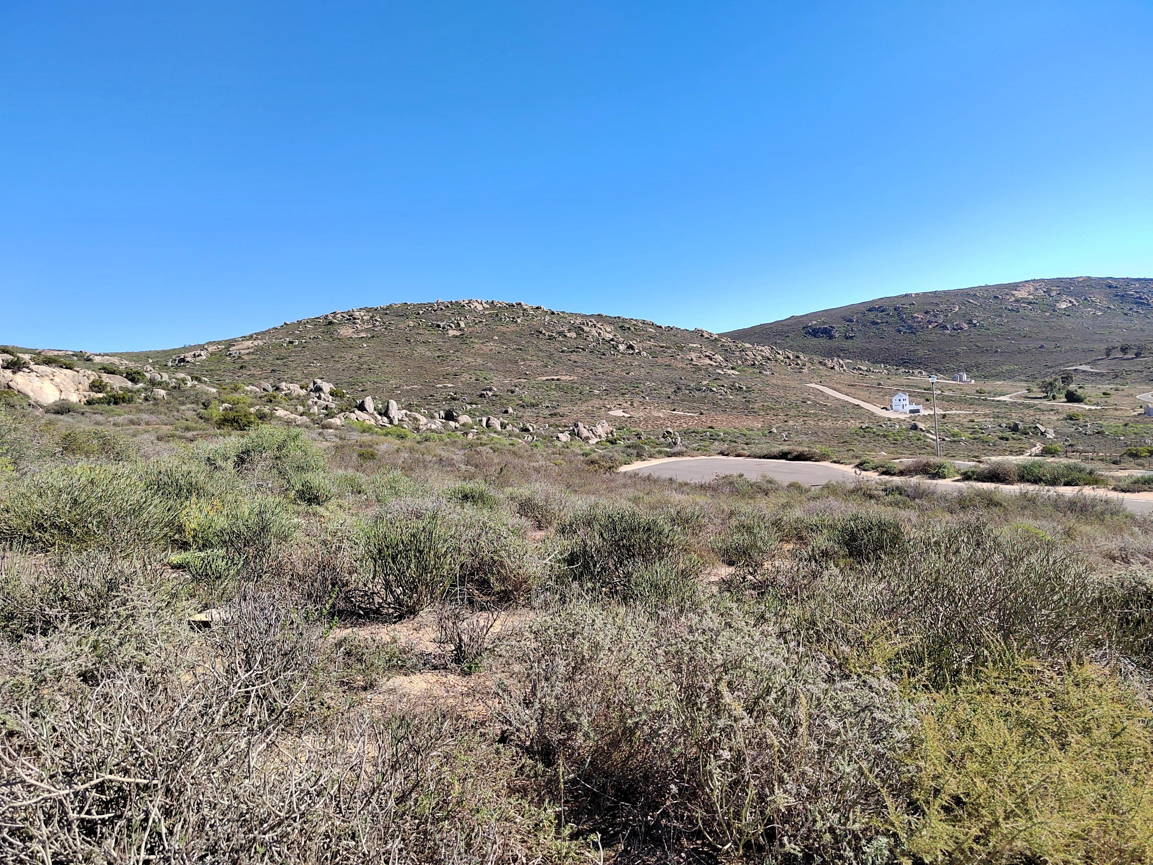 Image 3 of 6