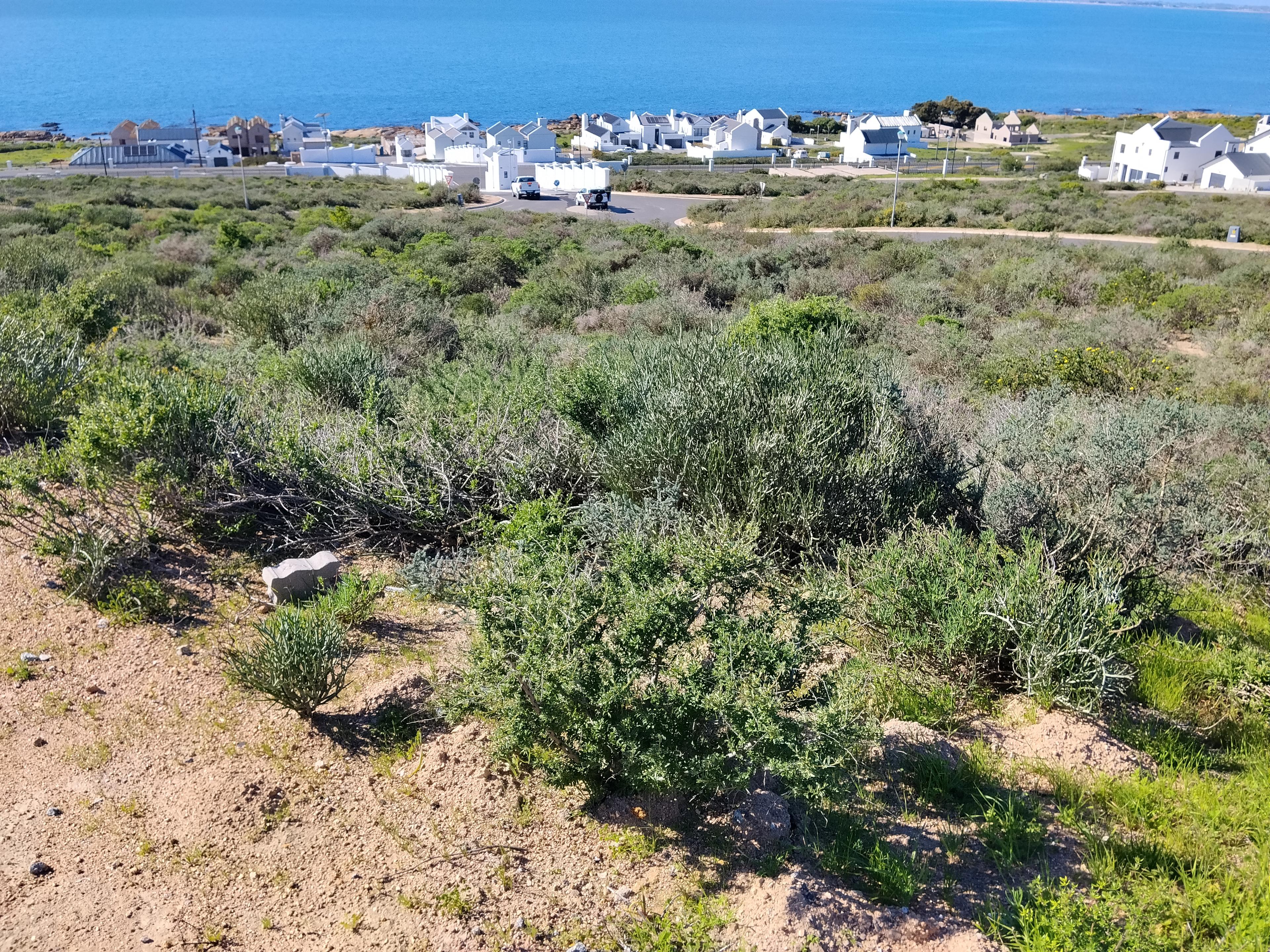 Image 4 of 6