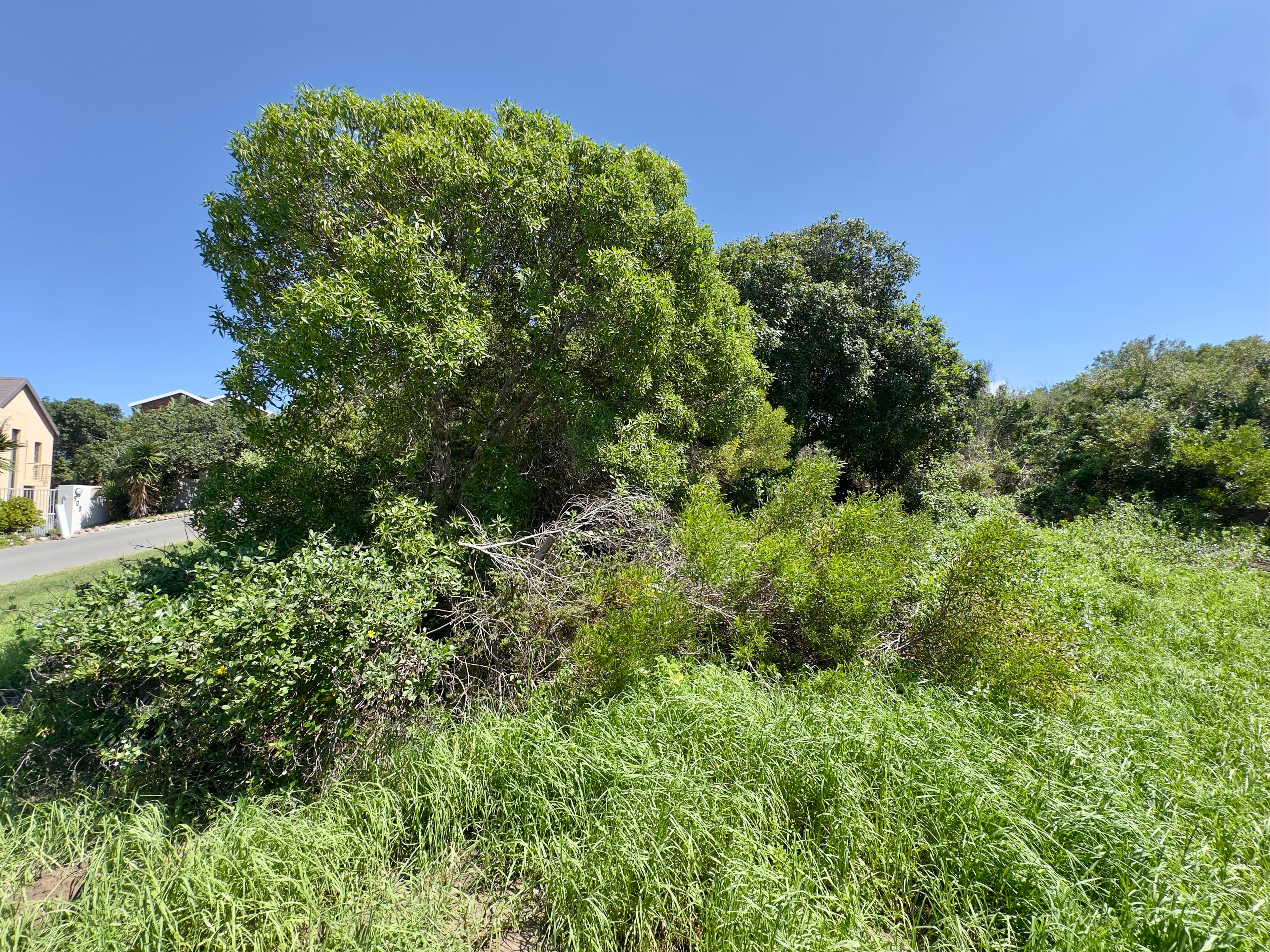 Image 3 of 6