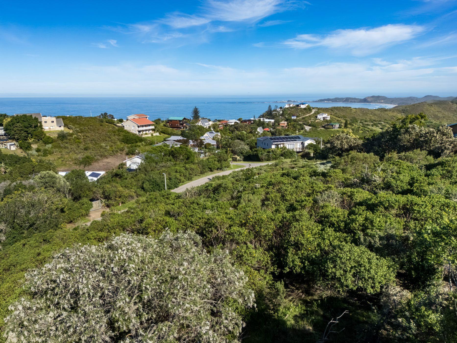 Image 4 of 6