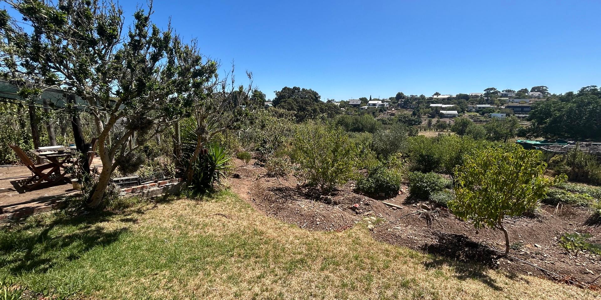 Image 4 of 6