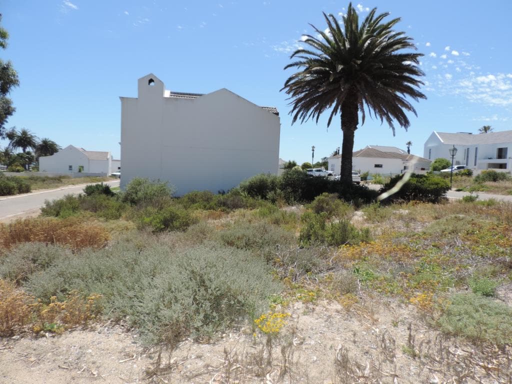 Image 4 of 6