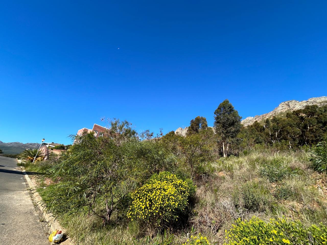 Image 4 of 6