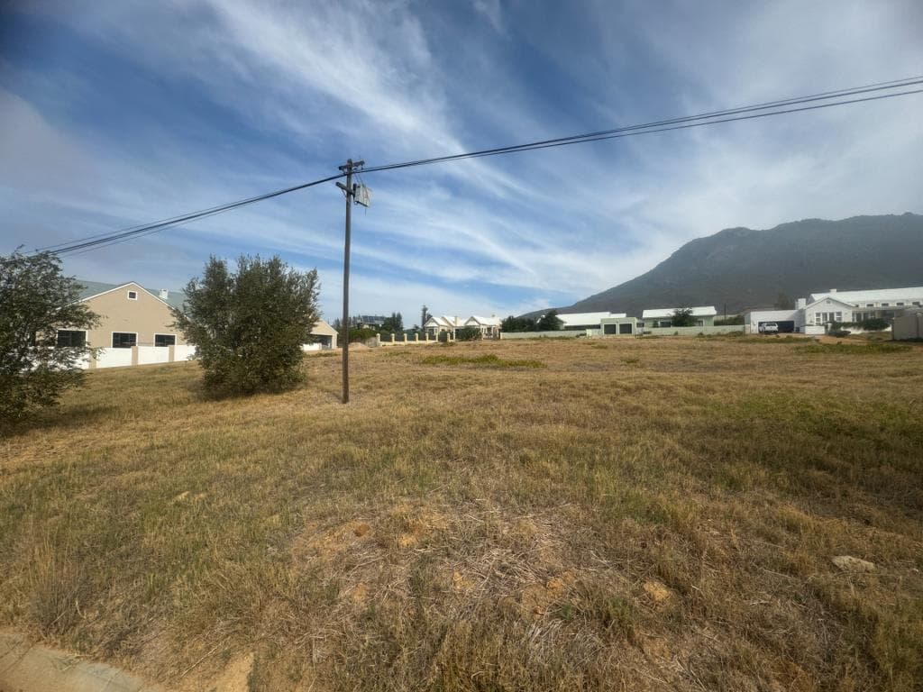 Image 2 of 6