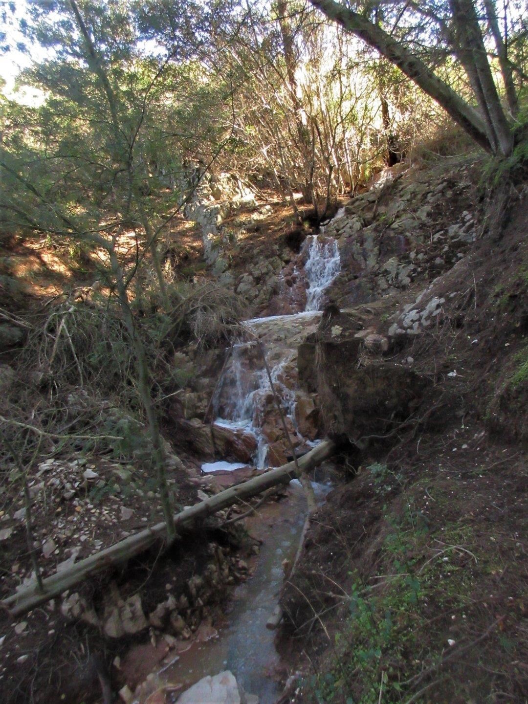 Image 9