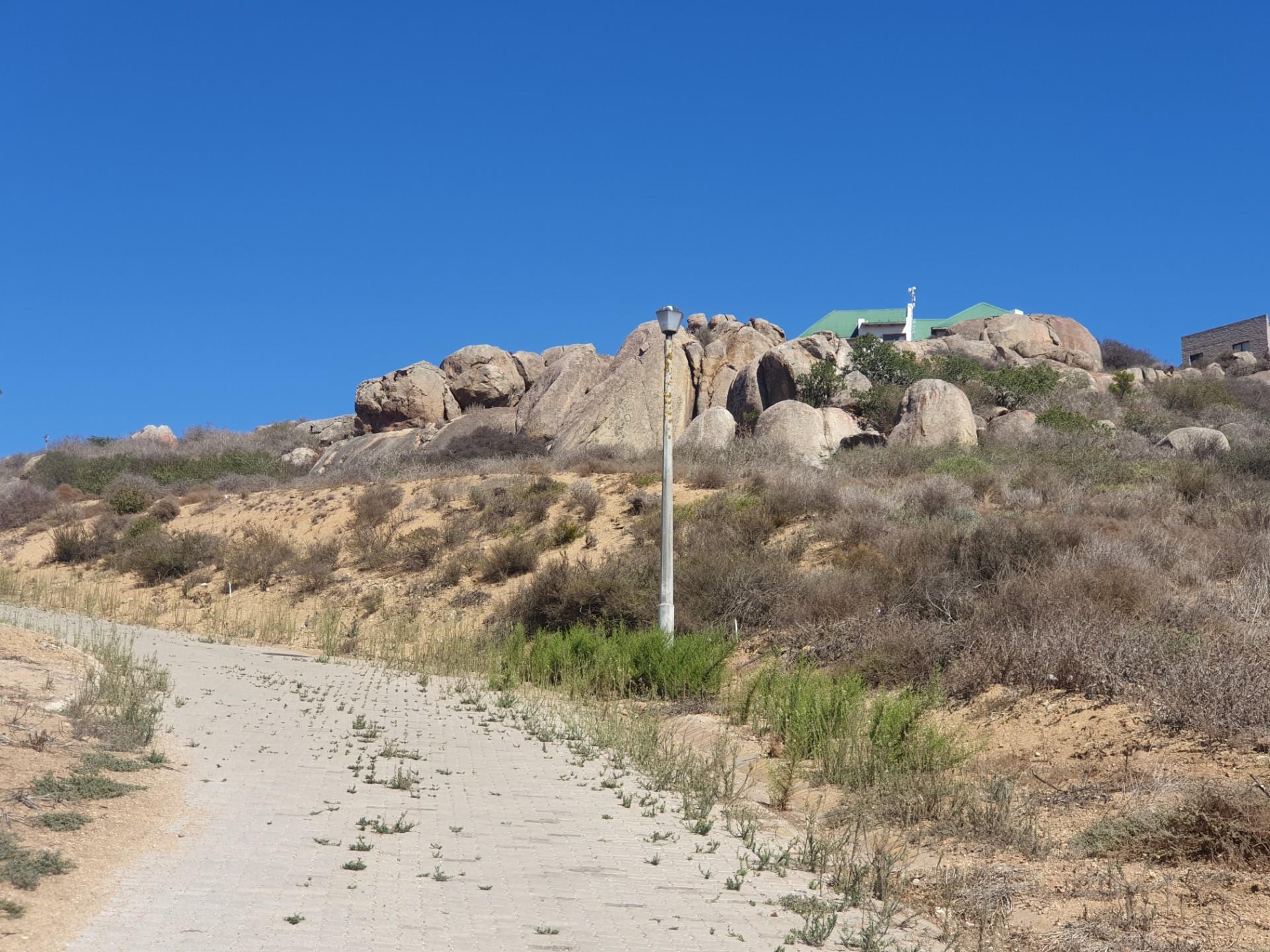 Image 15