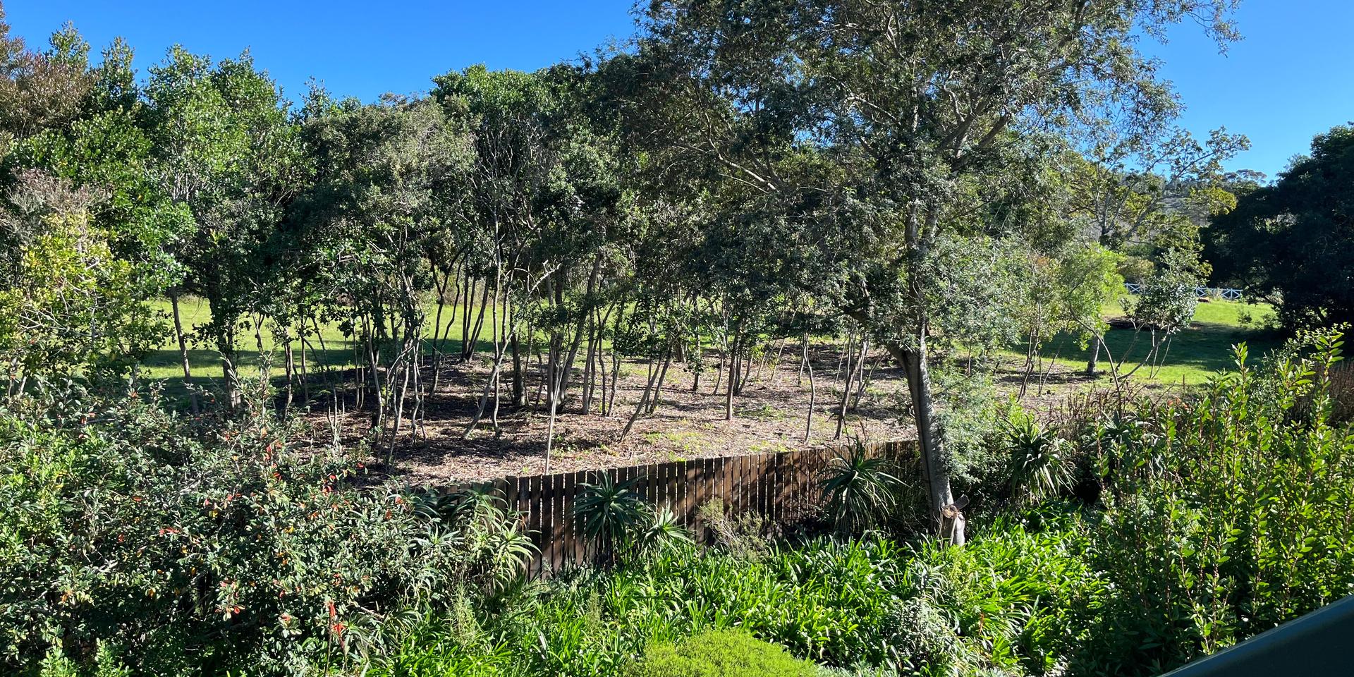 Image 5 of 6