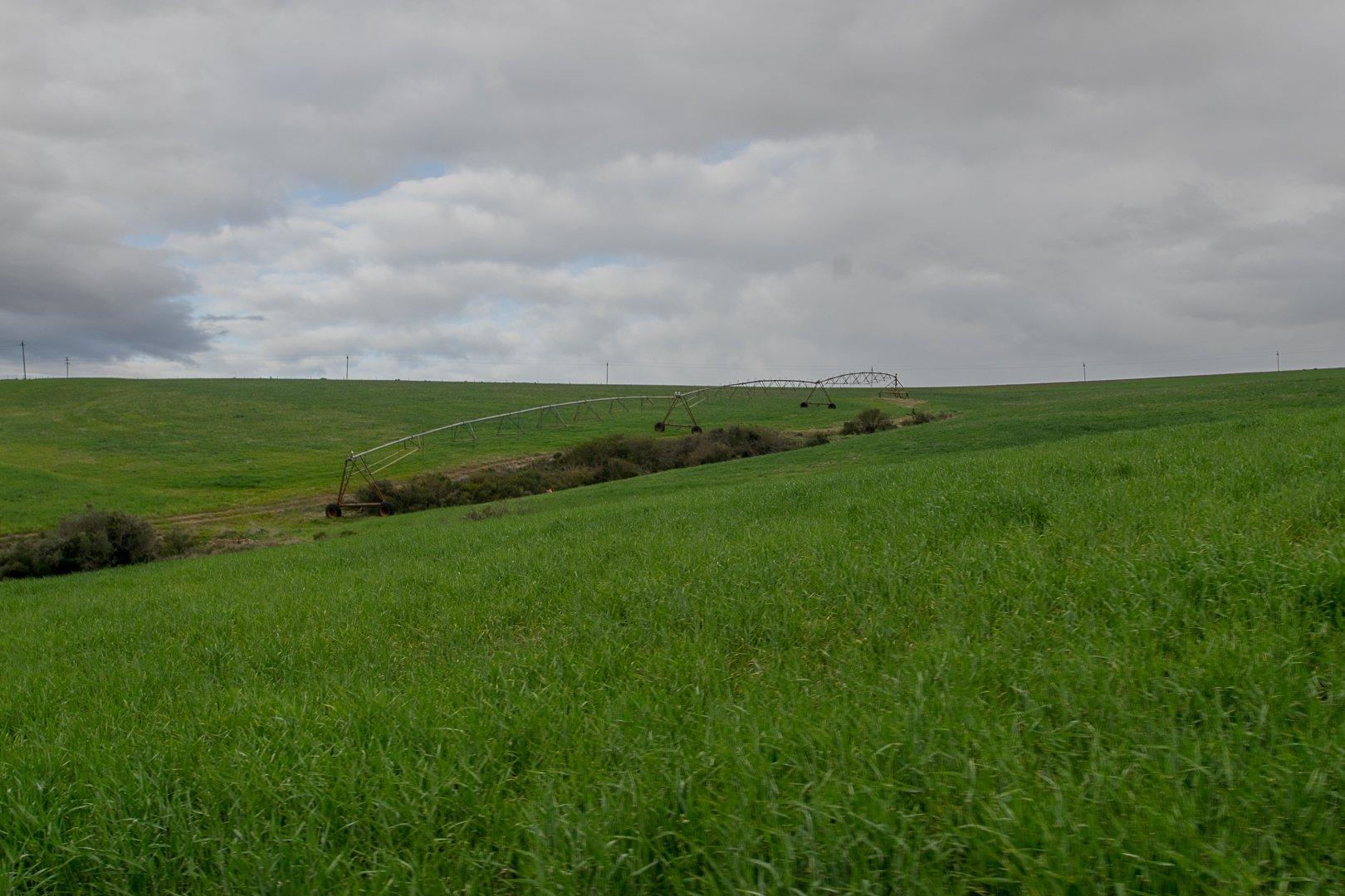 Image 15