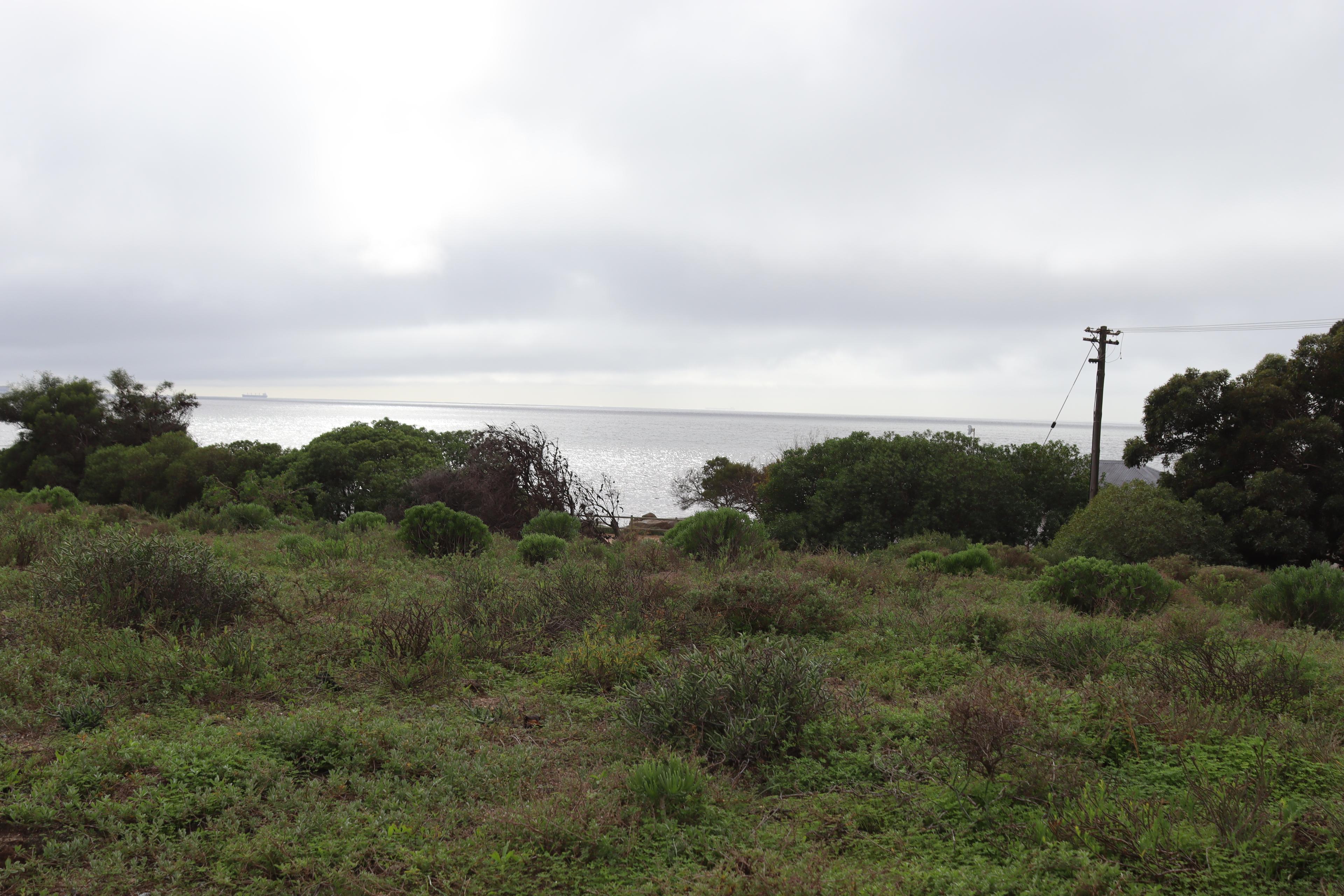 Image 2 of 6