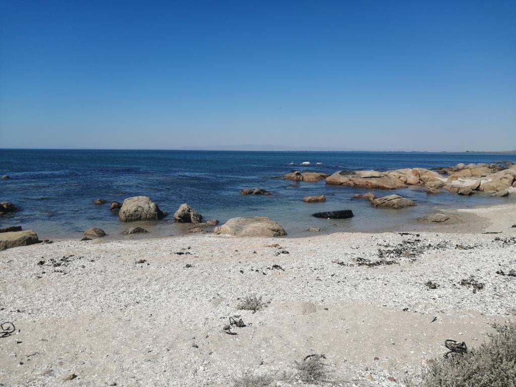 Image 4 of 6