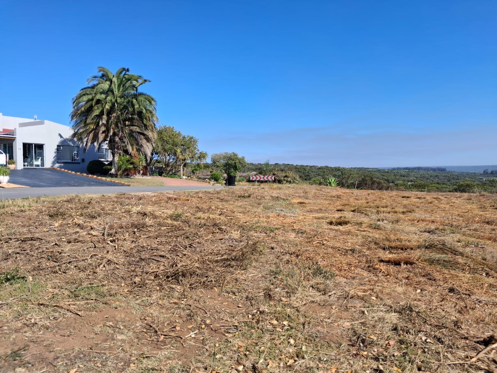 Image 14