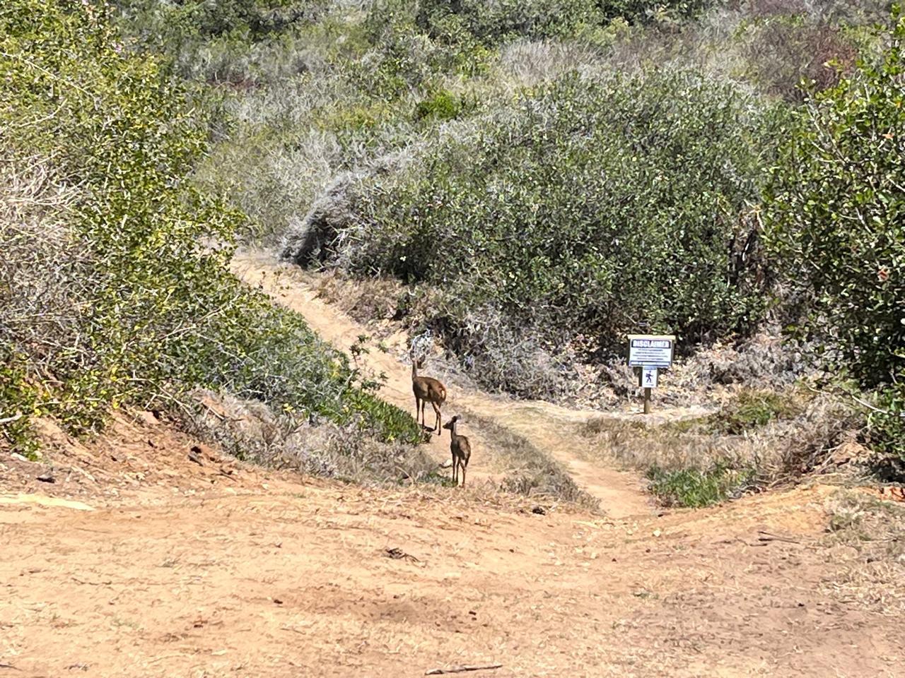 Image 14
