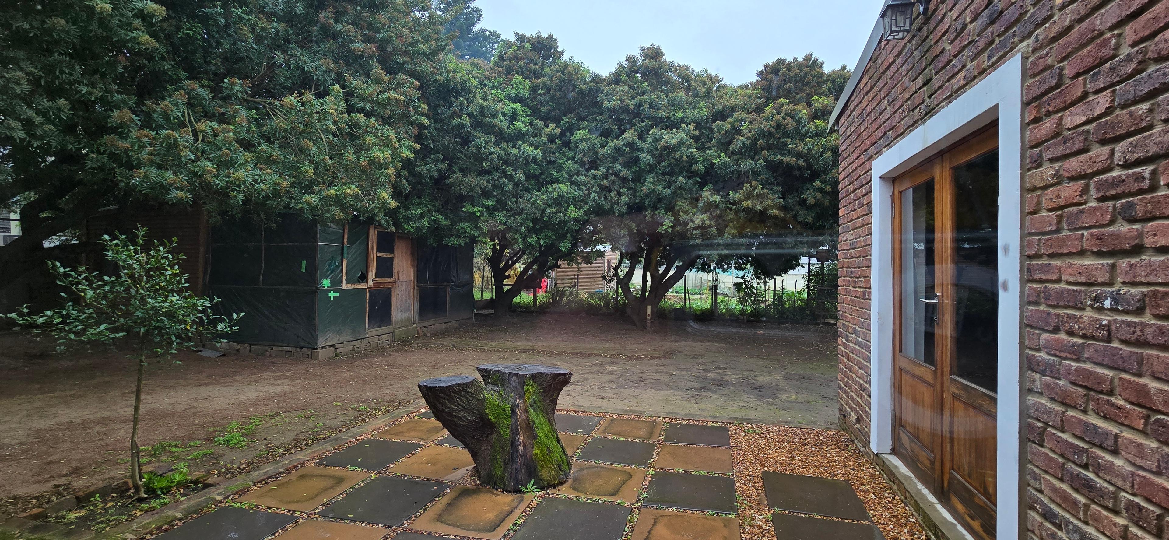 Image 14