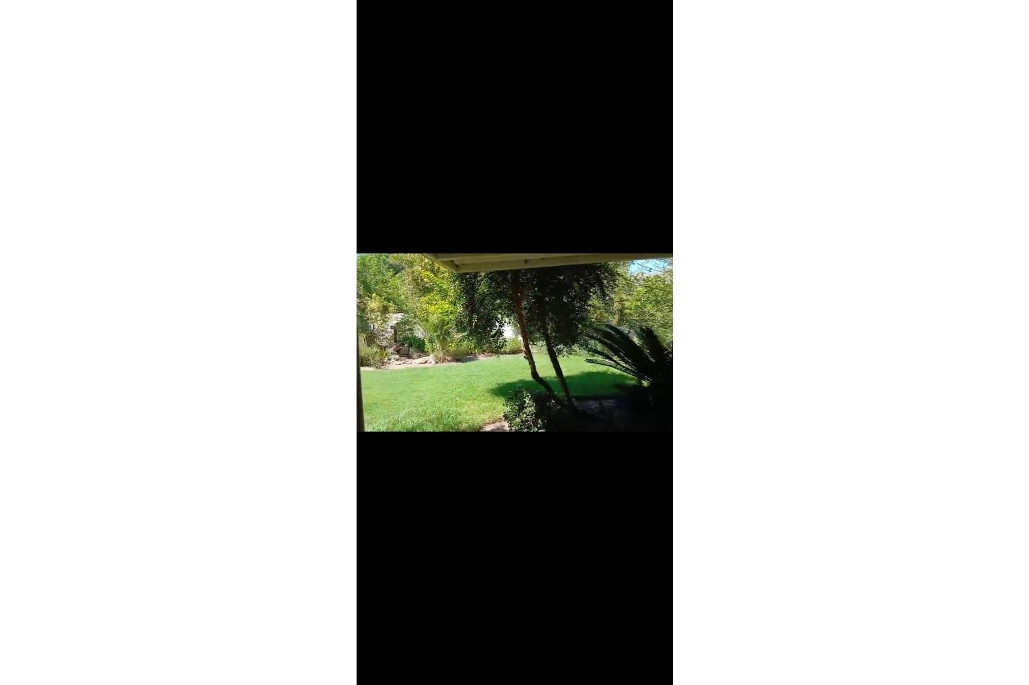 Image 22